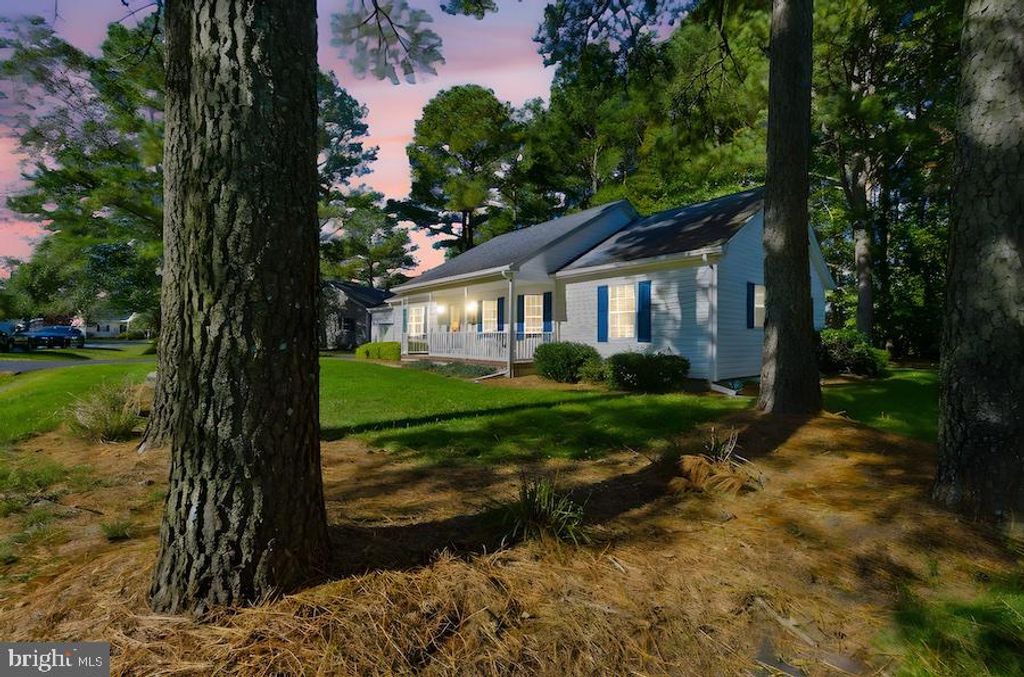 Photo of 175 Teal Drive, MILLSBORO, DE 19966 (MLS # DESU2099082)