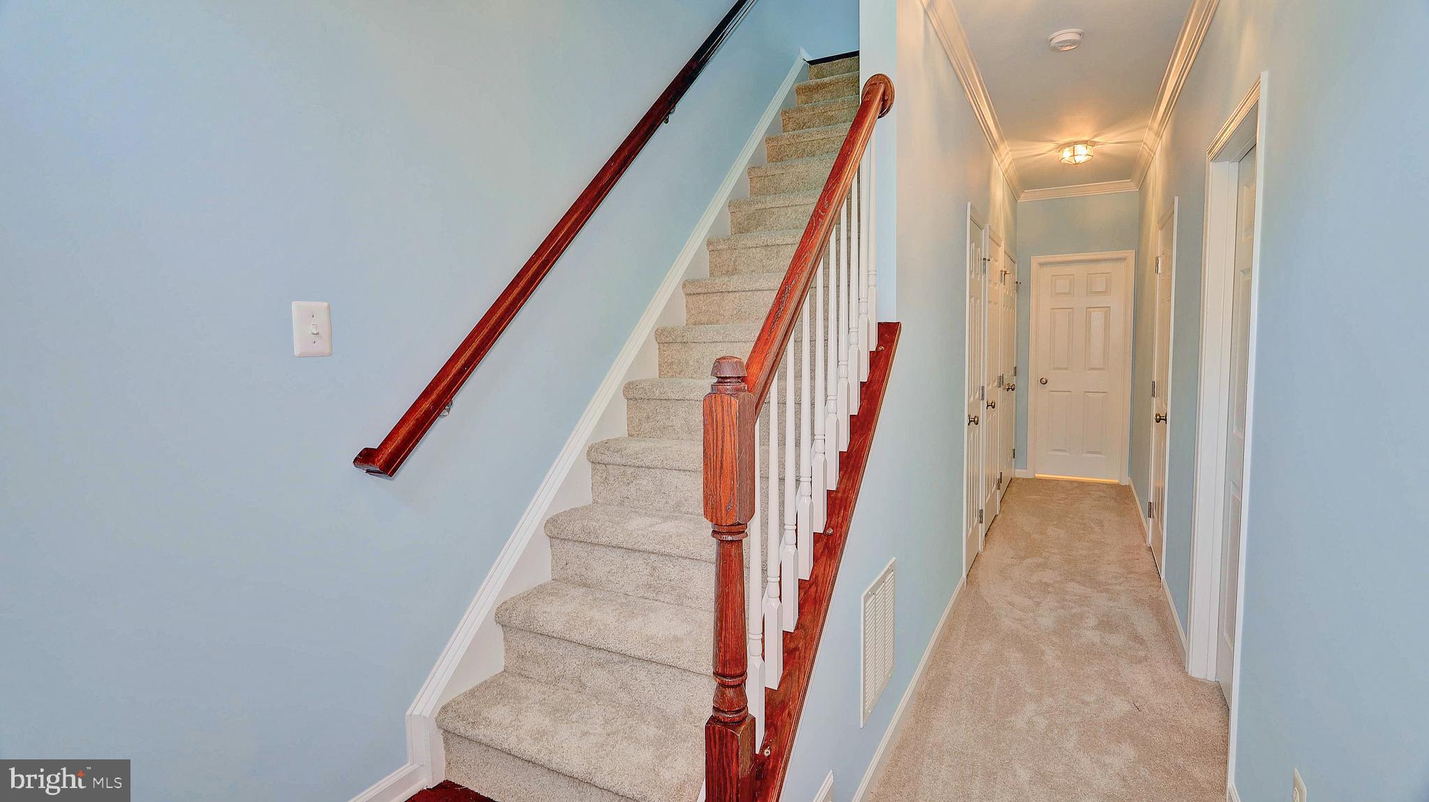 AMBERLEA AT SOUTH RIDING - Residential