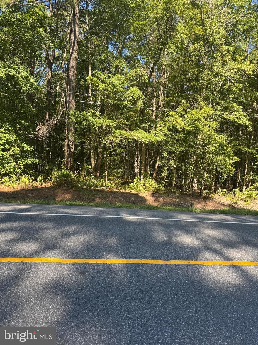 Approx. 1.7-acre wooded lot offering privacy and natural surroundings! A beautiful piece of land with mature trees and a peaceful setting. Great opportunity to own your own slice of nature while still being close to local amenities. Buyer to verify intended use and conduct due diligence.