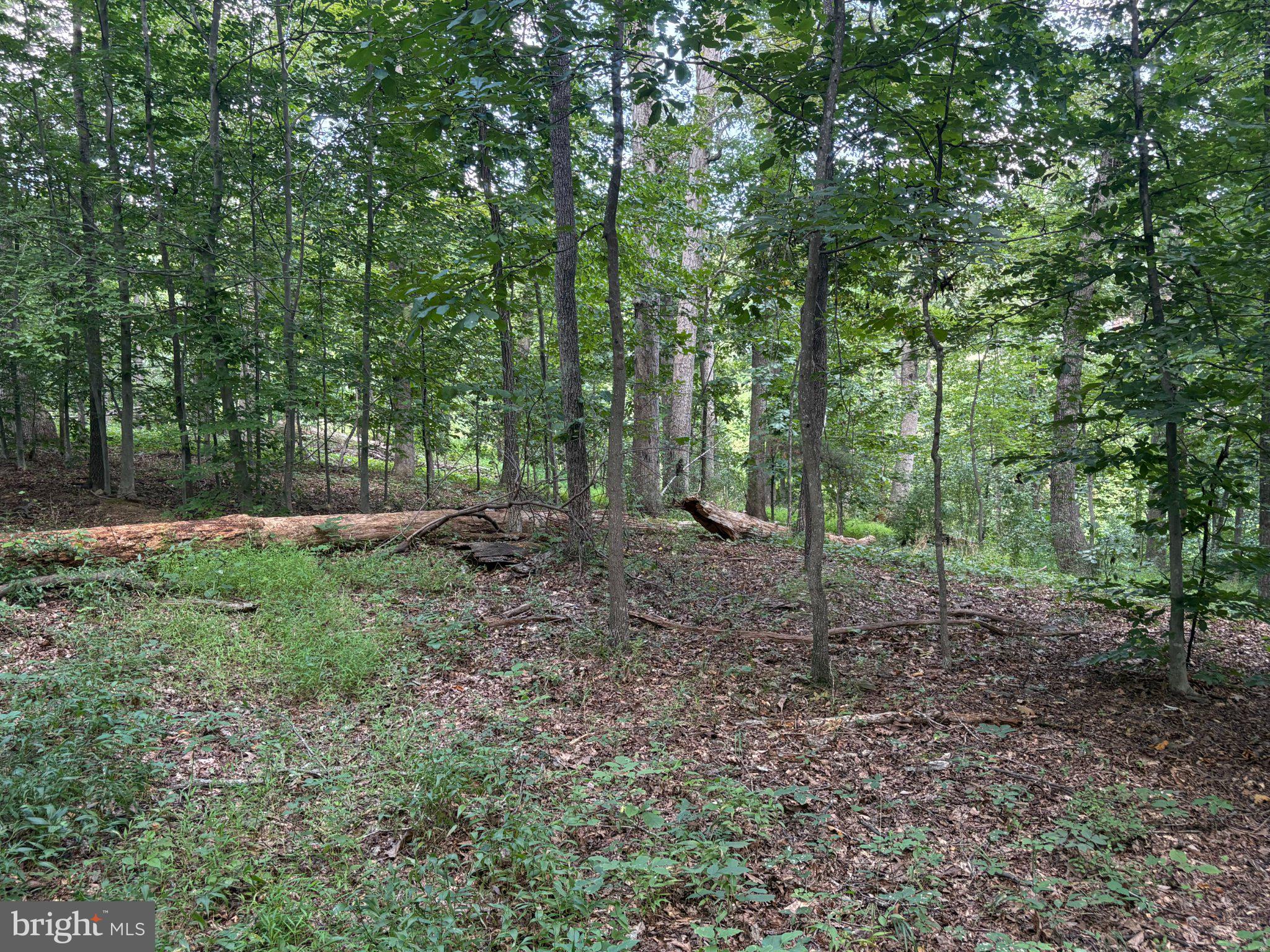 0 UNION MILL ROAD