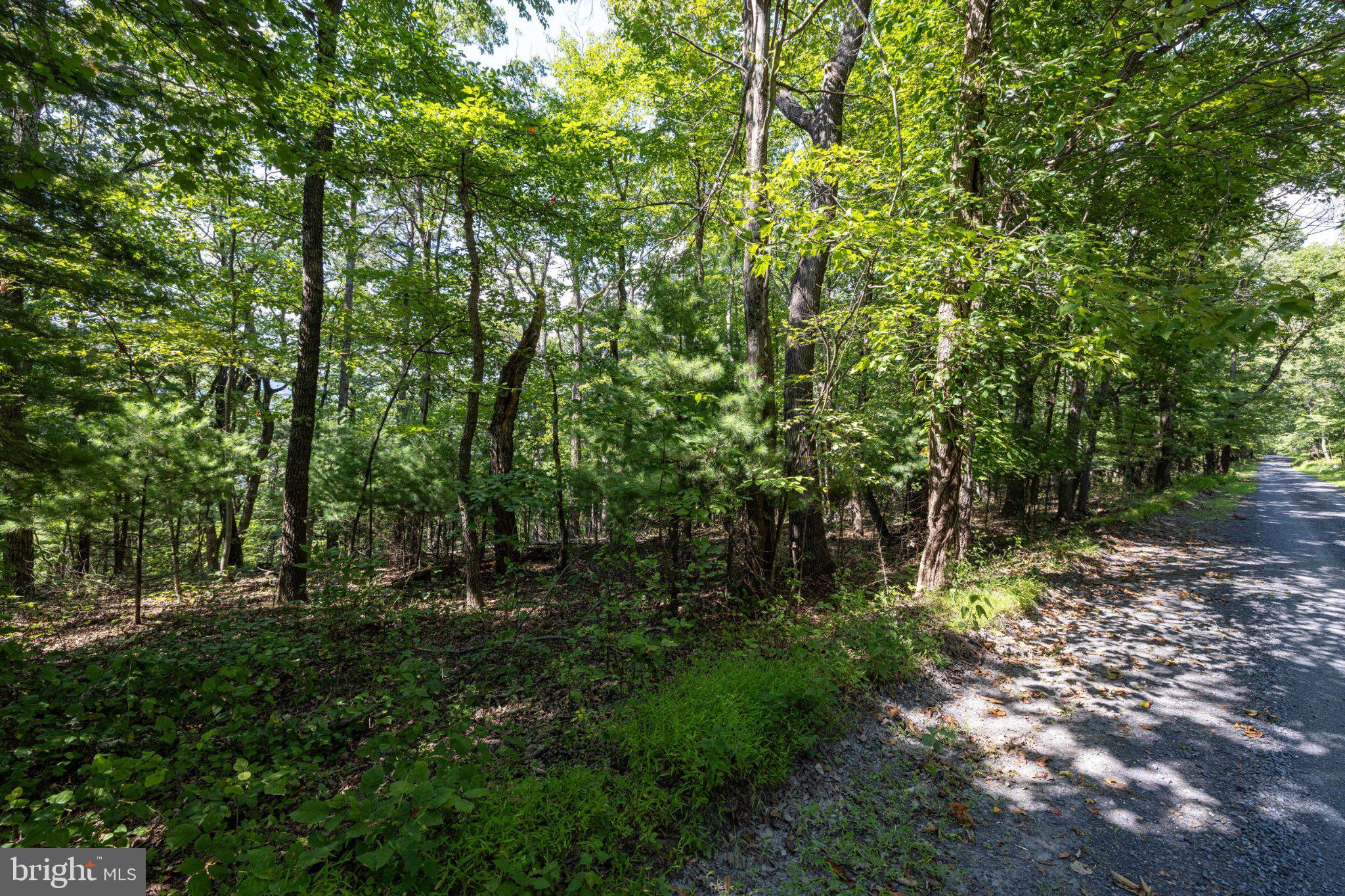 0 SUPINLICK RIDGE ROAD