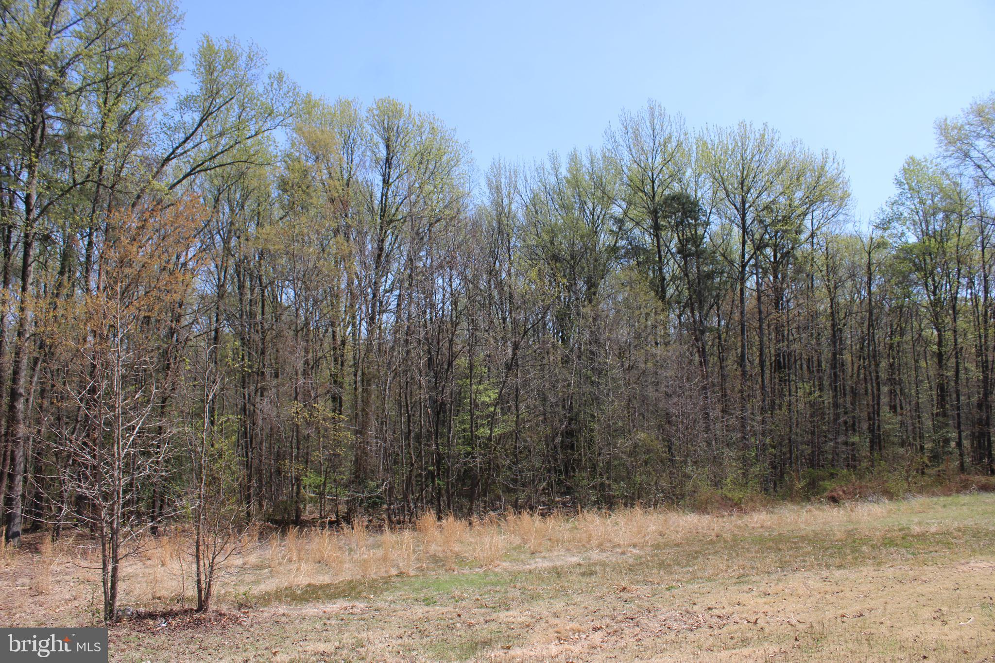 PASADENA - Residential