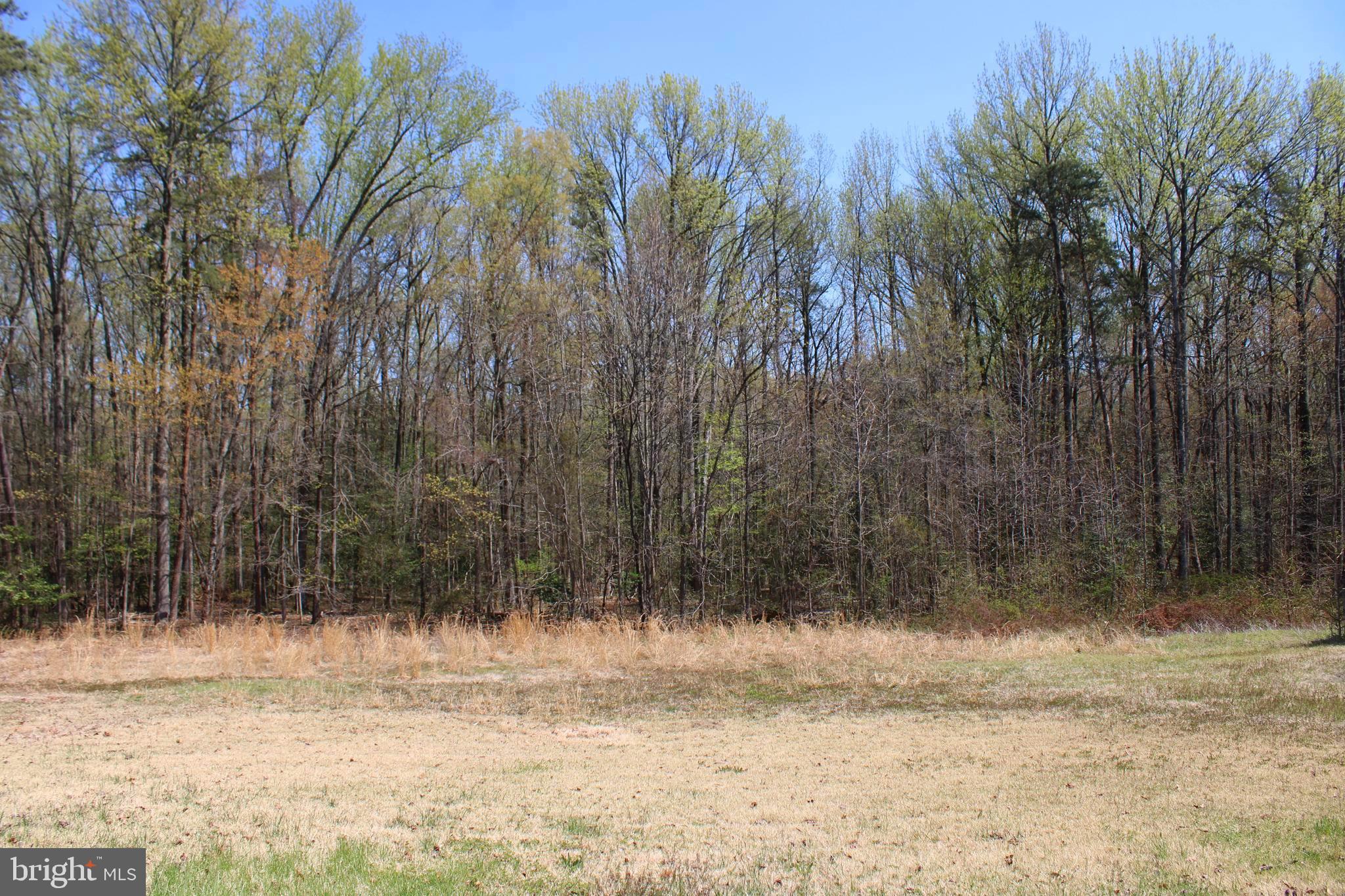 PASADENA - Residential