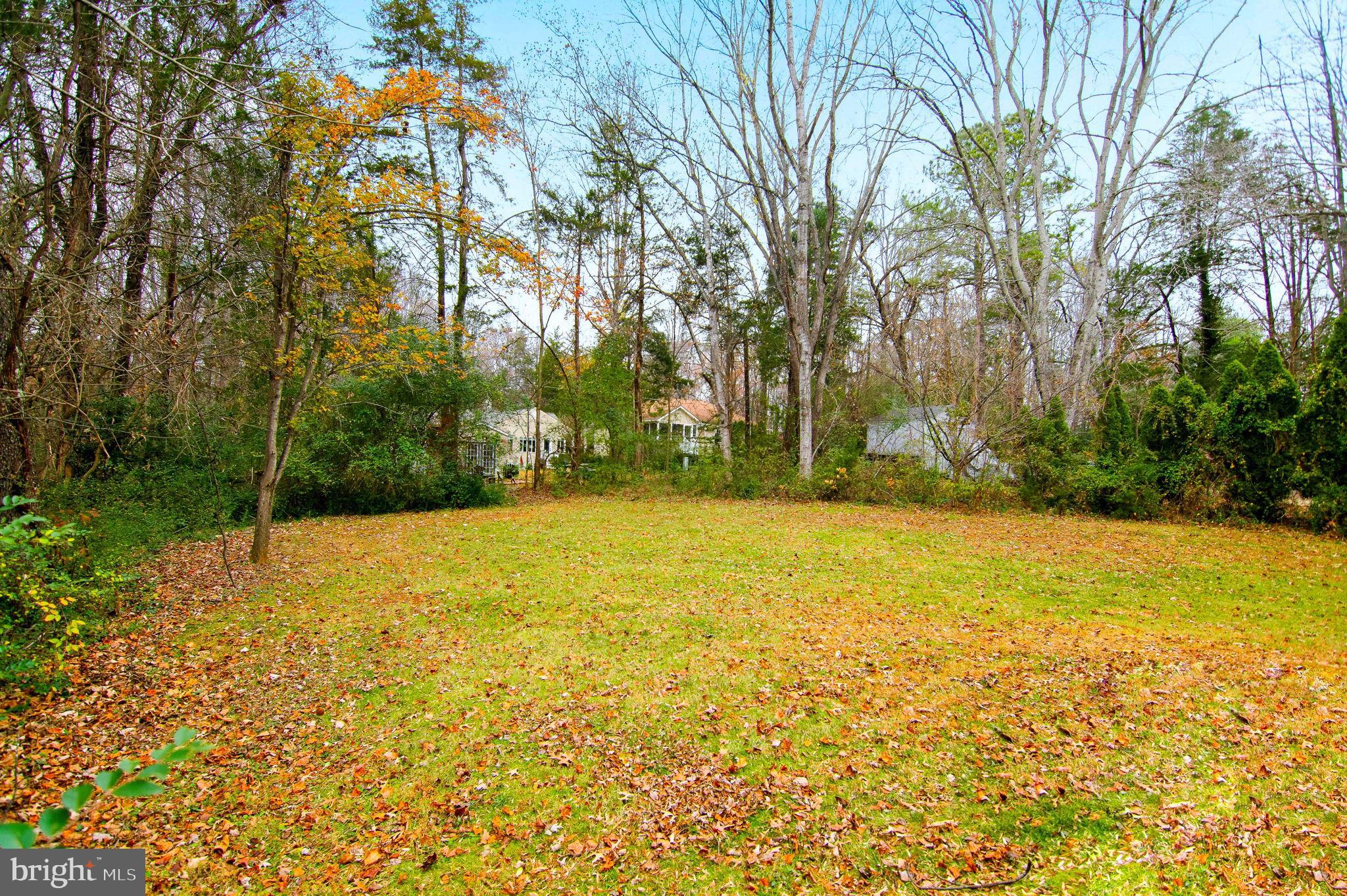 LAKE OF THE WOODS - Residential