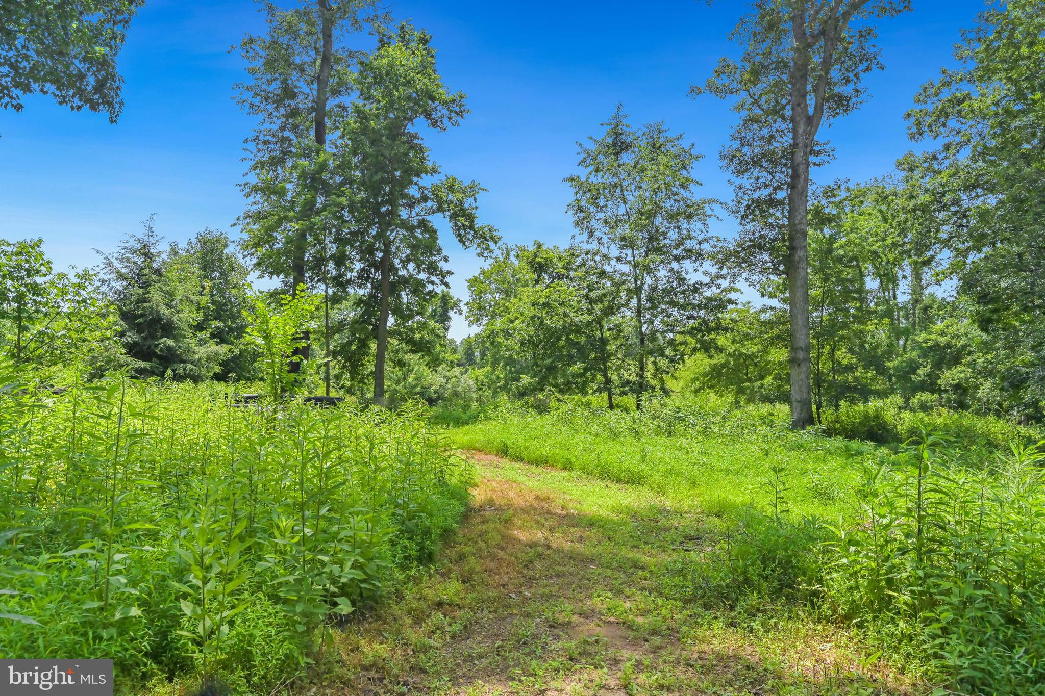 SHENSTONE - Residential