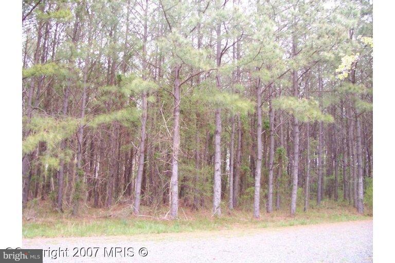 Very nice, secluded,building lot, just a few minutes from route 50. This building lot is wooded with all pine trees. Lot has been approved with a standard septic system. Private road agreement is on file.
