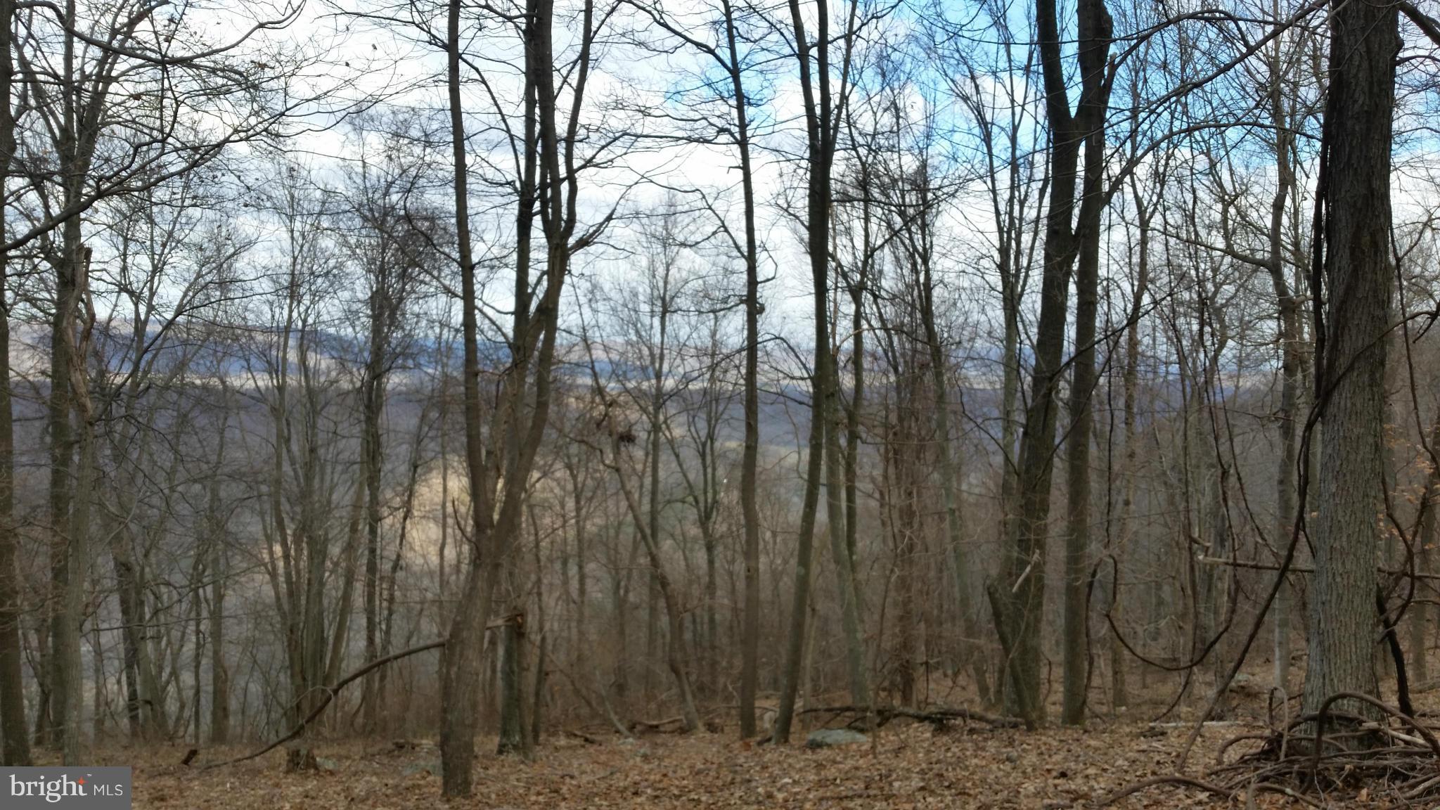 CACAPON MOUNTAIN RECREATIONAL AREA - Land