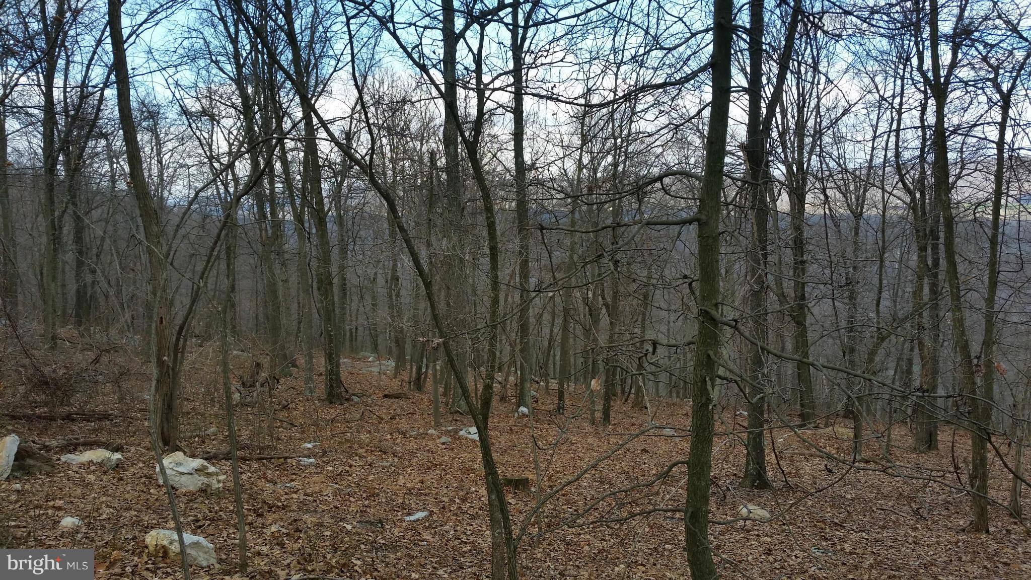 CACAPON MOUNTAIN RECREATIONAL AREA - Land