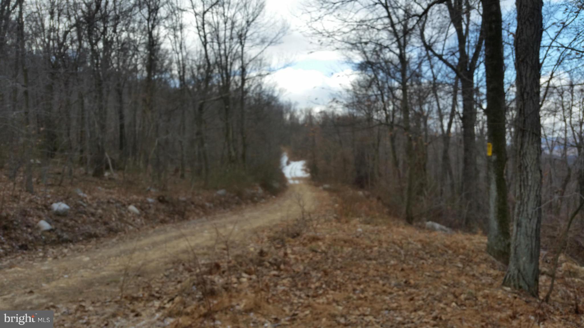 CACAPON MOUNTAIN RECREATIONAL AREA - Land