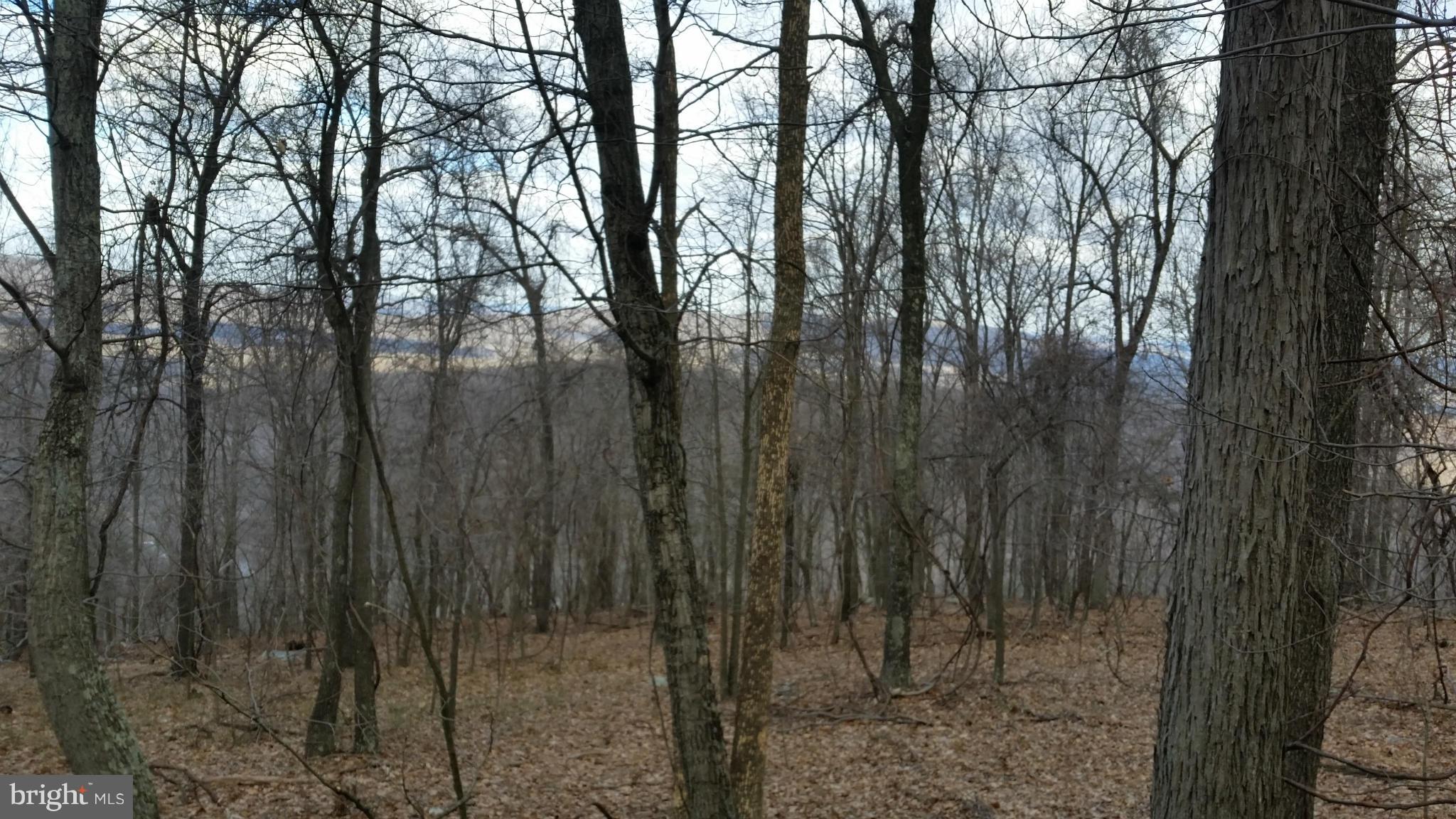 CACAPON MOUNTAIN RECREATIONAL AREA - Land