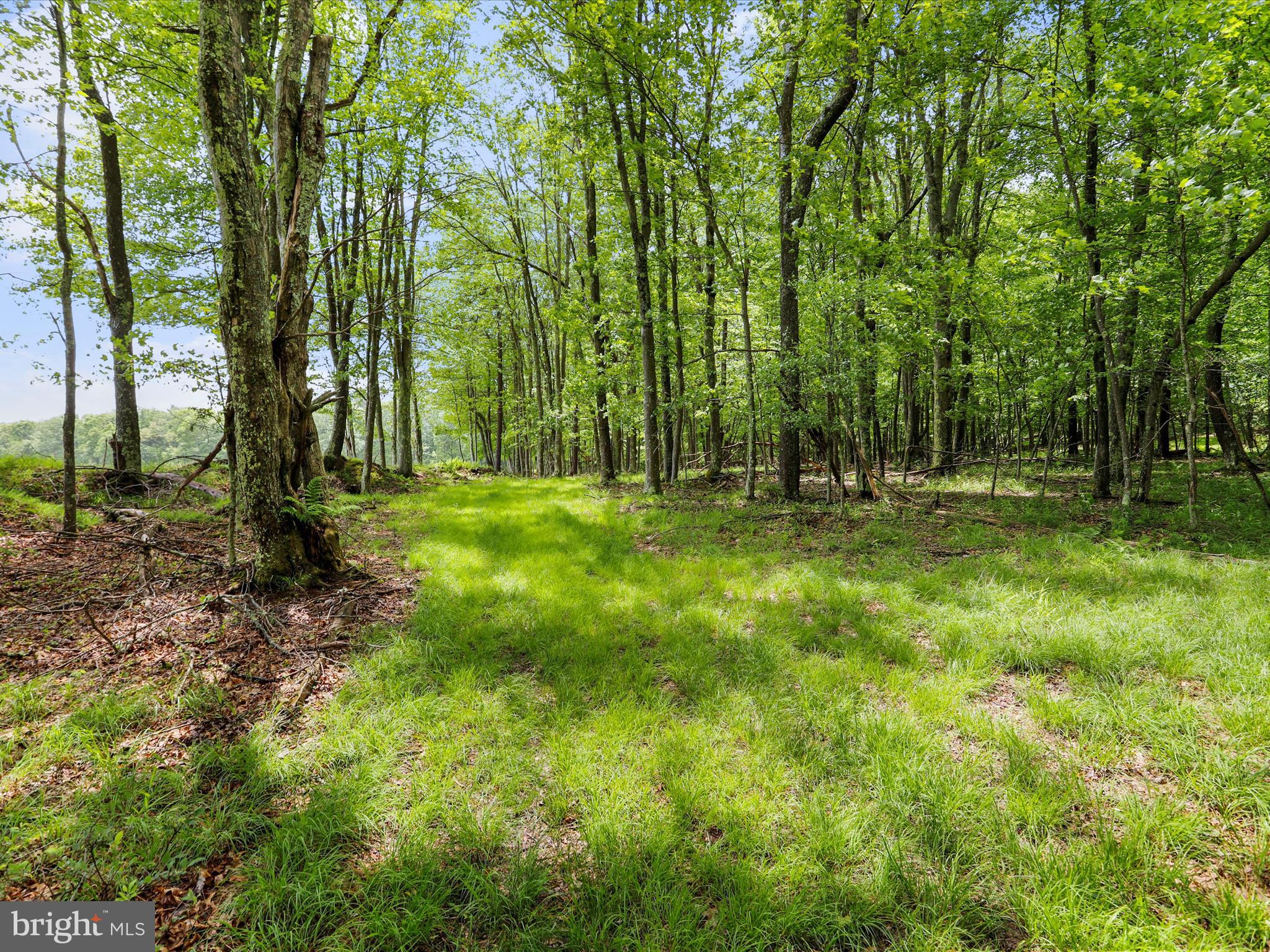 DEEP CREEK LAKE - Residential