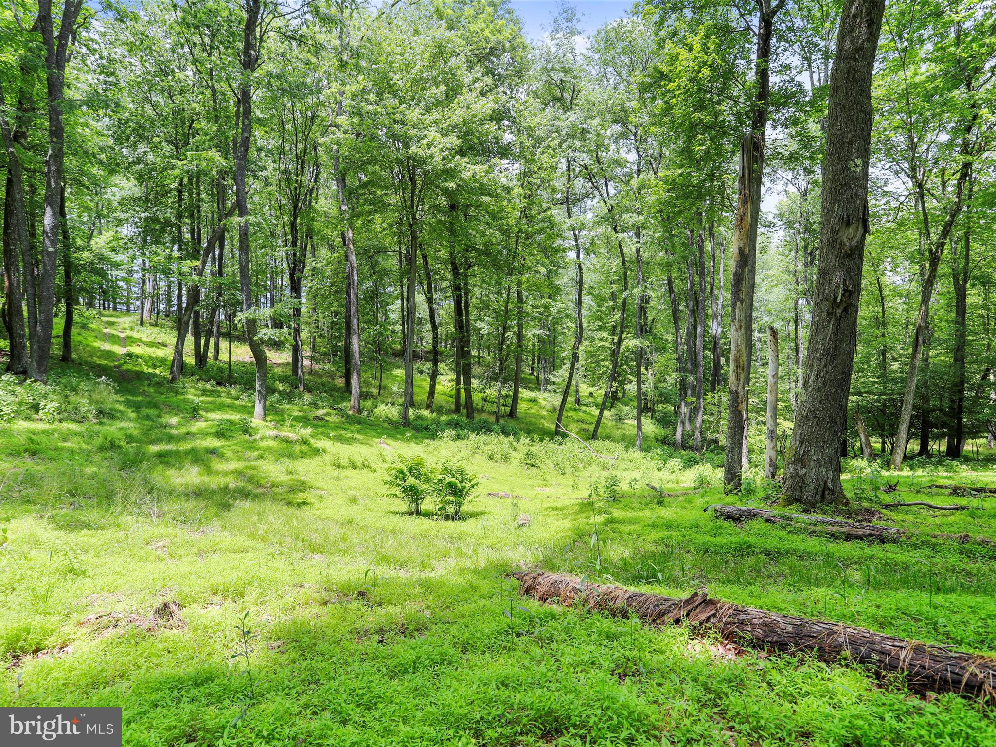 DEEP CREEK LAKE - Residential