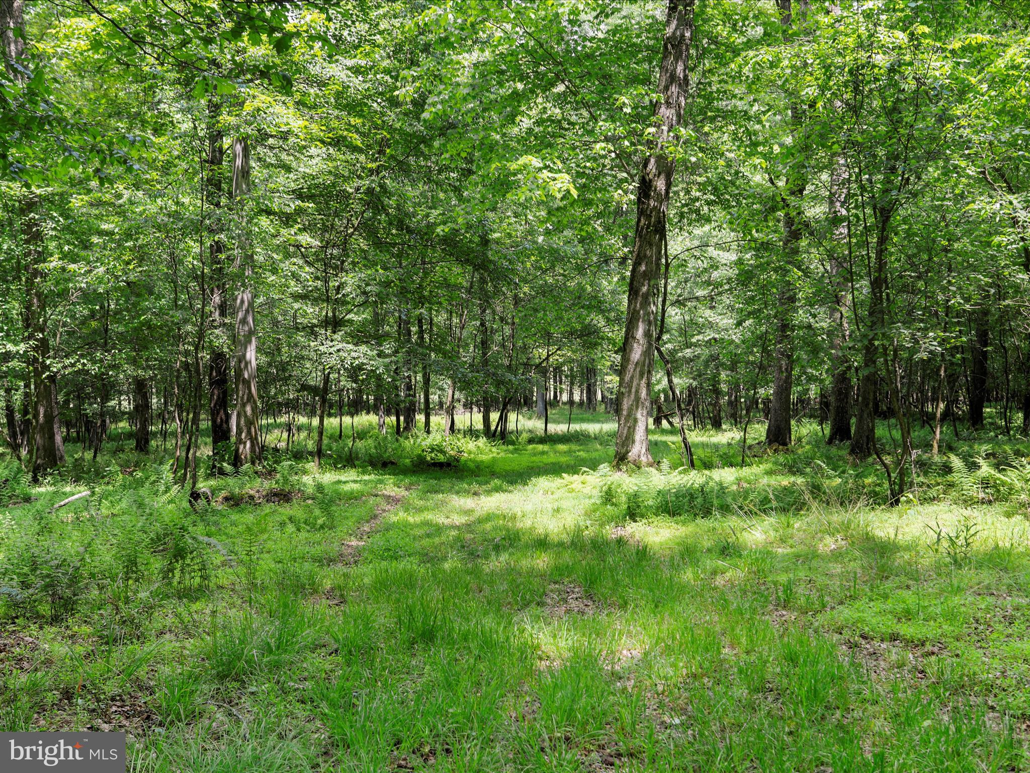 DEEP CREEK LAKE - Residential