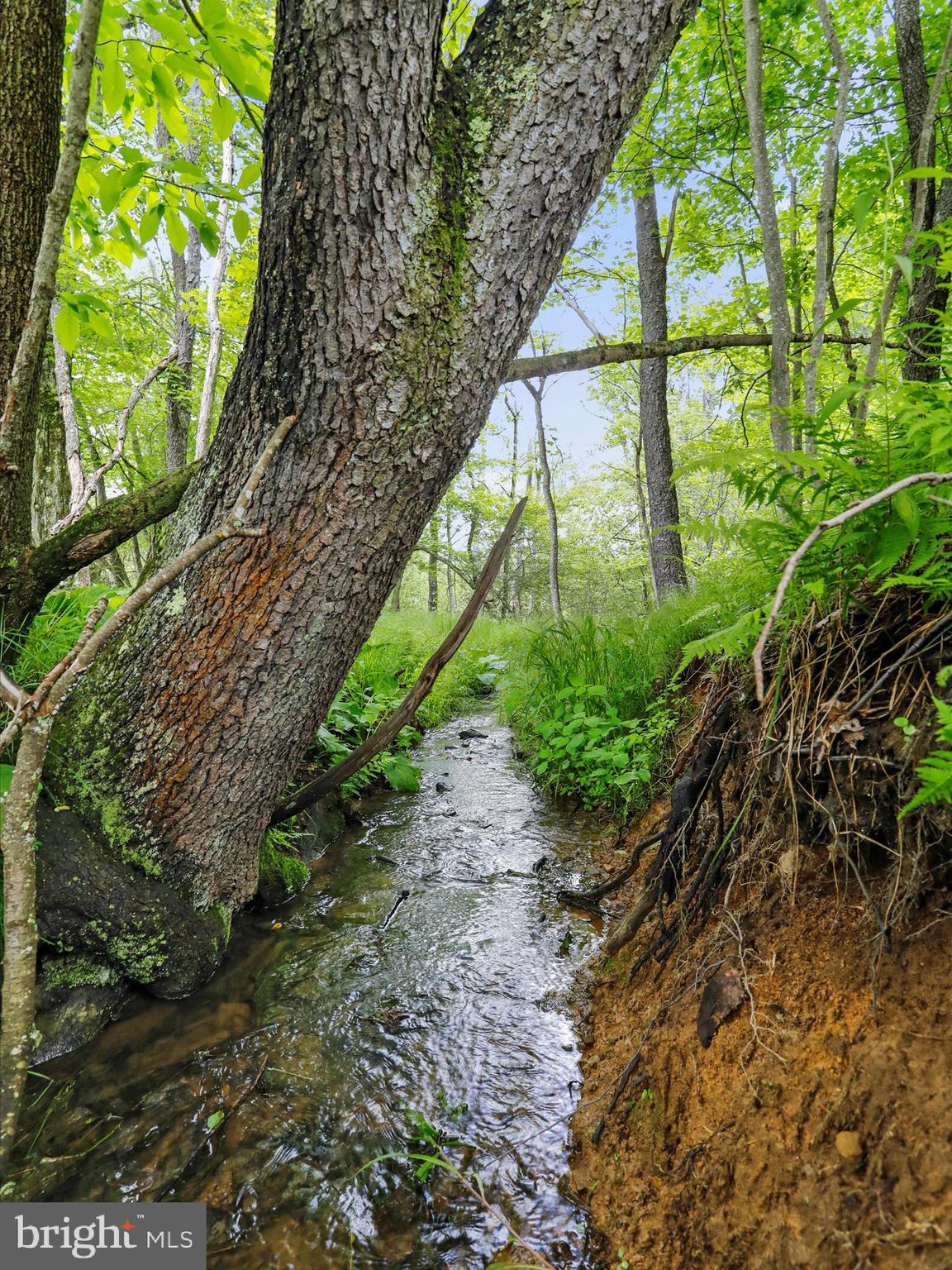 DEEP CREEK LAKE - Residential
