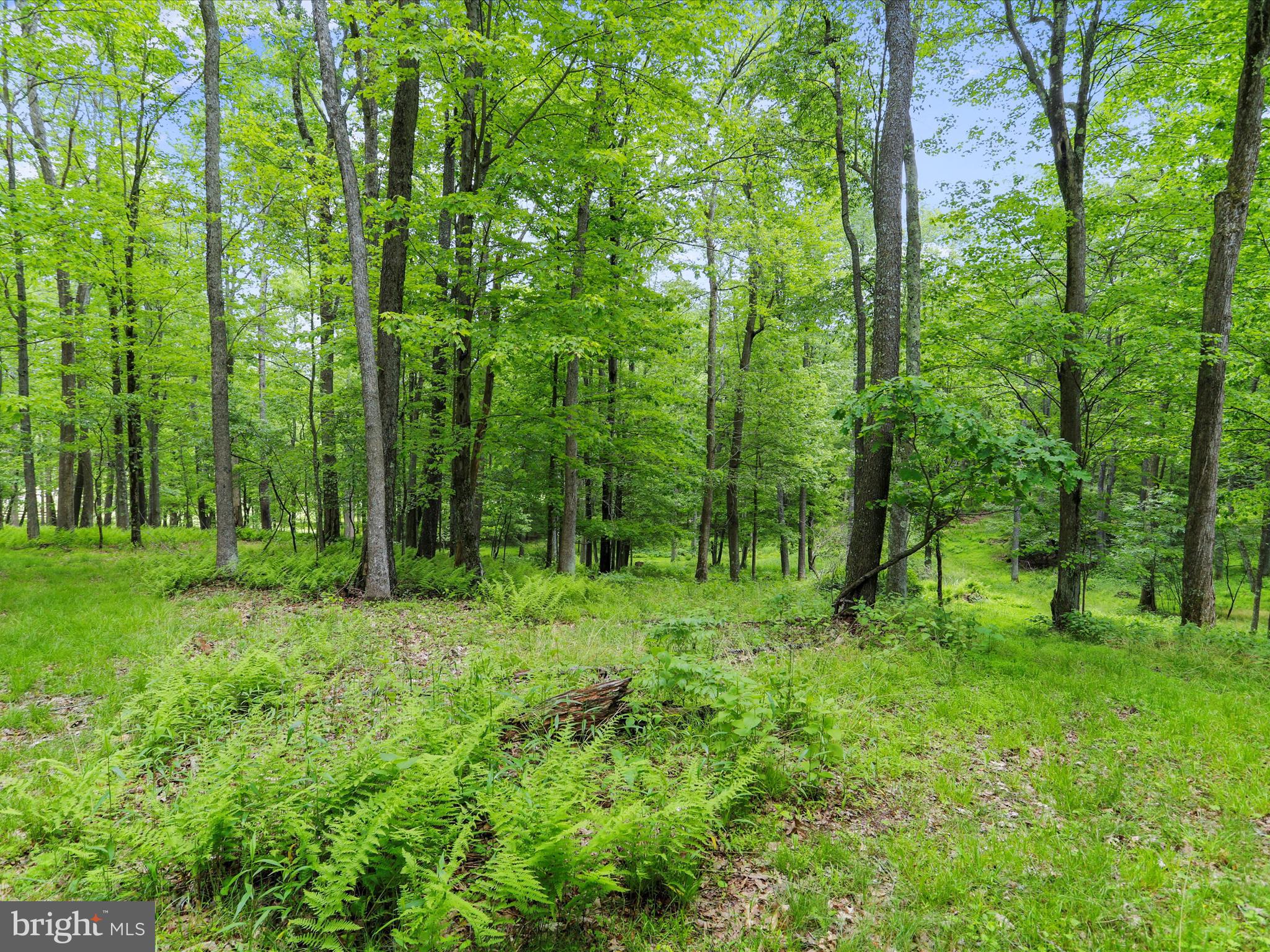 DEEP CREEK LAKE - Residential