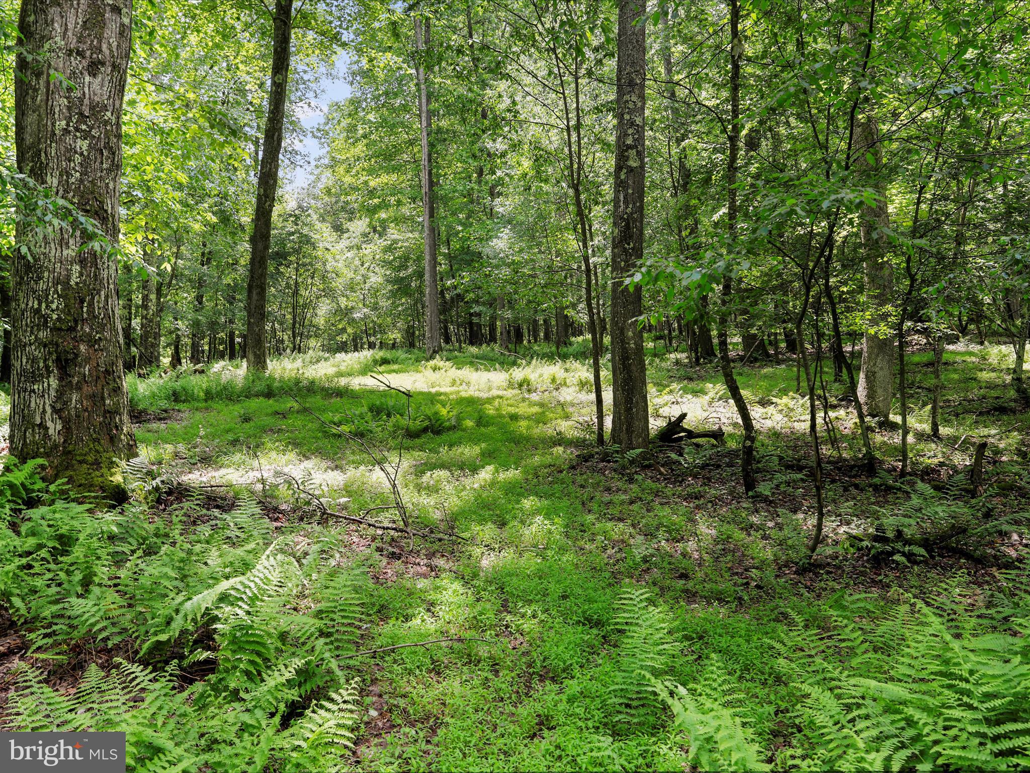 DEEP CREEK LAKE - Residential