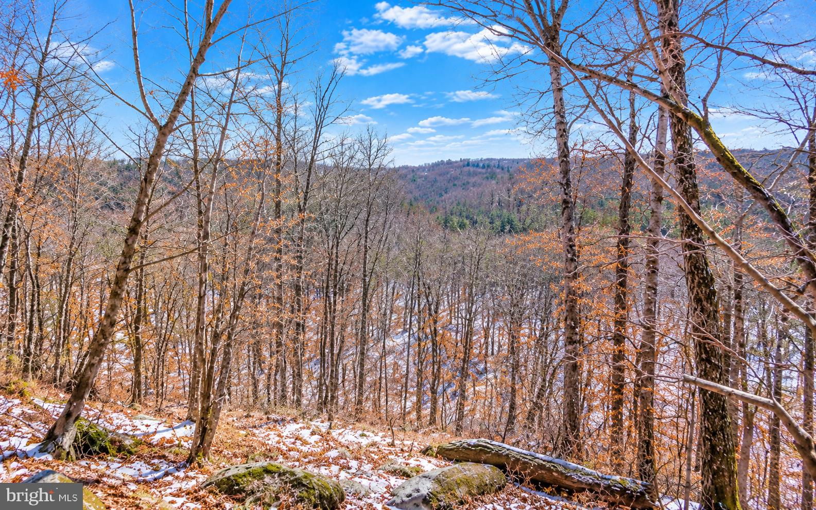 448 MAVERICK TRAIL