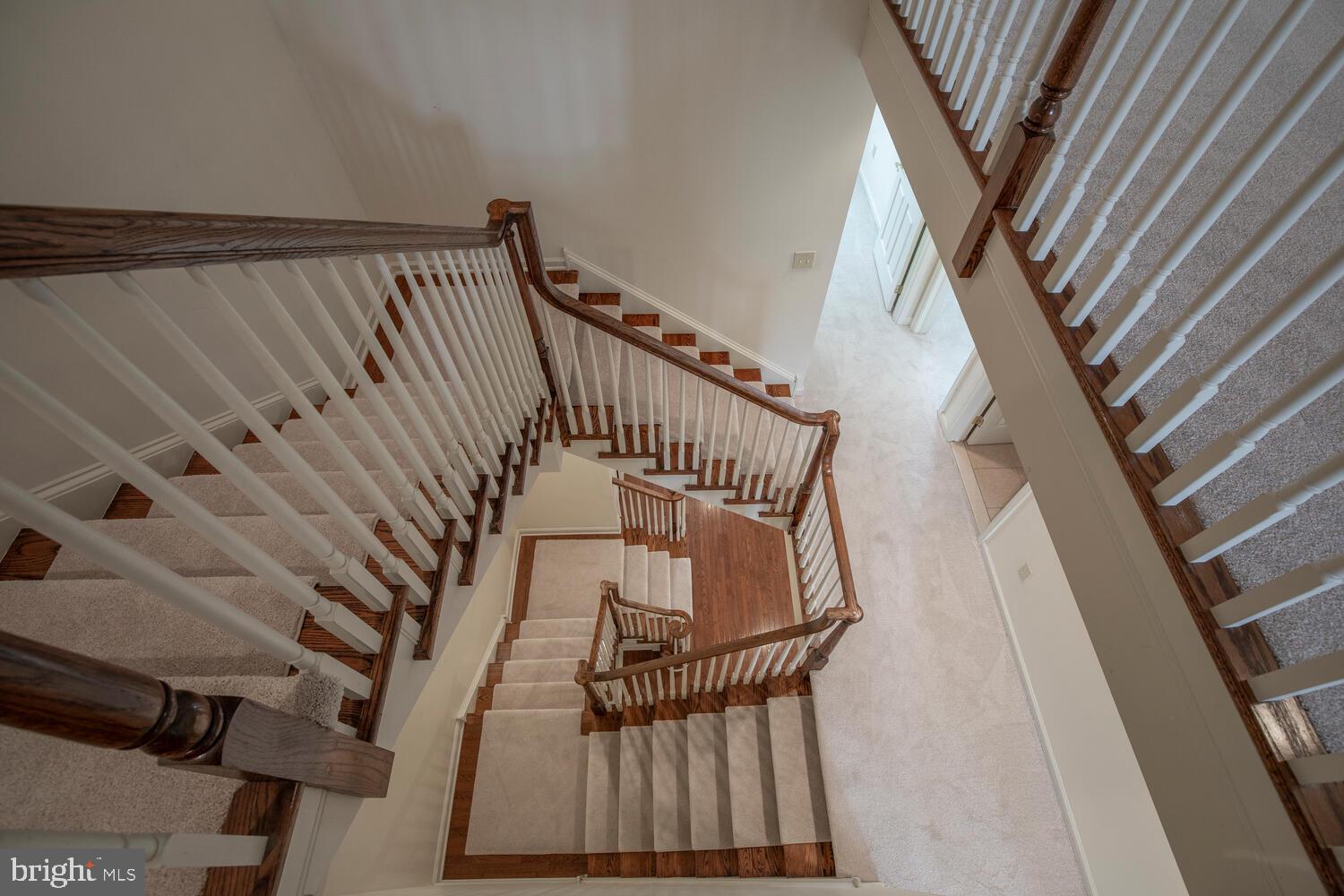 OXFORD LANE - Residential