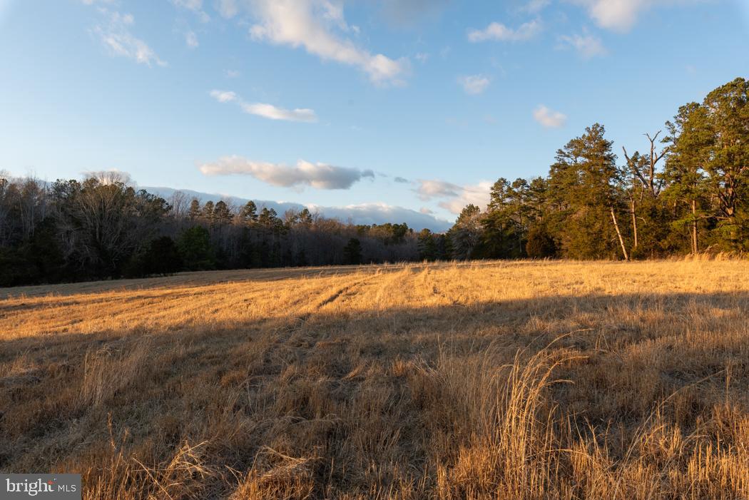 GREEN SPRINGS - Residential