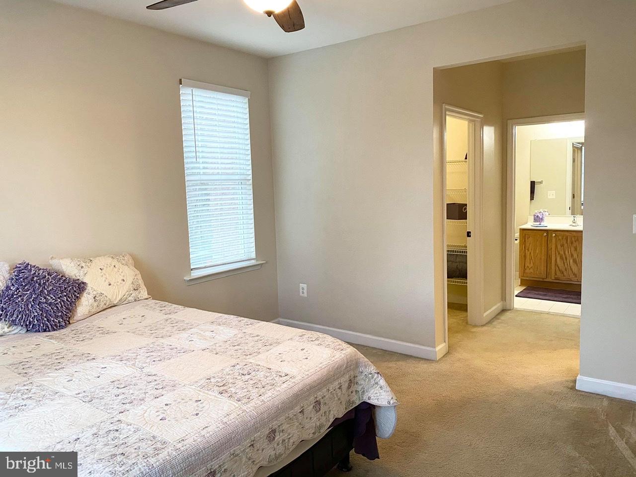 WAVERLY STATION - Residential