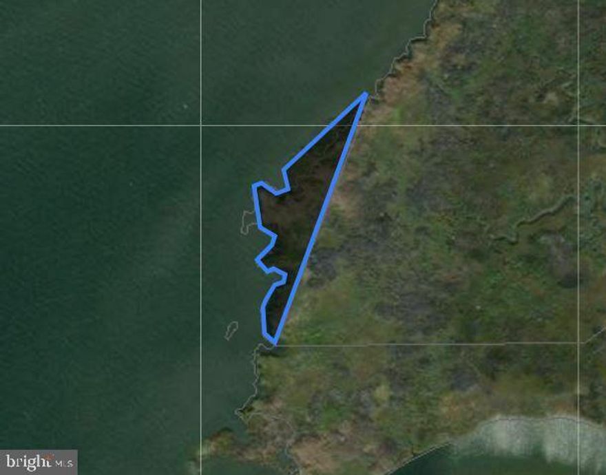 The perfect, bite sized piece of waterfowl hunting property in Ellis Bay along the Atlantic Flyway.

- Over 750' of shoreline with a strong history of producing consistent bag limits.
- Surrounded by hundreds of acres of state owned lands and the 3,200 Acre Ellis Bay Wildlife Management Area.
- Accessible by boat only.
