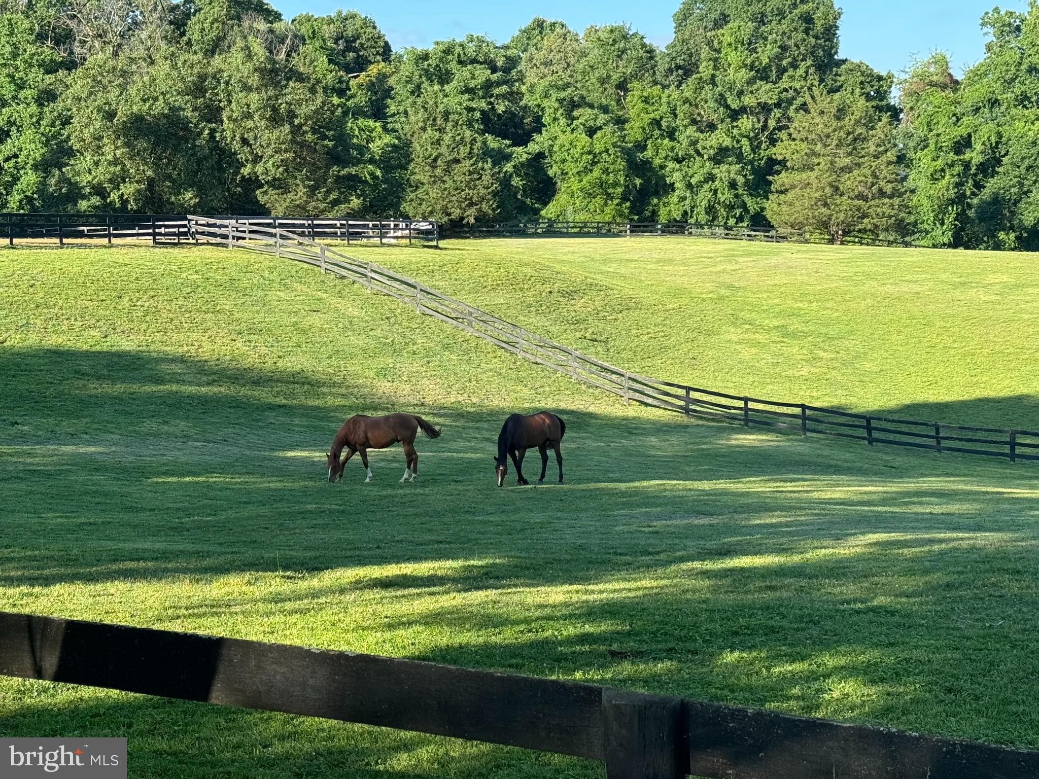 9341 CORNWELL FARM DRIVE