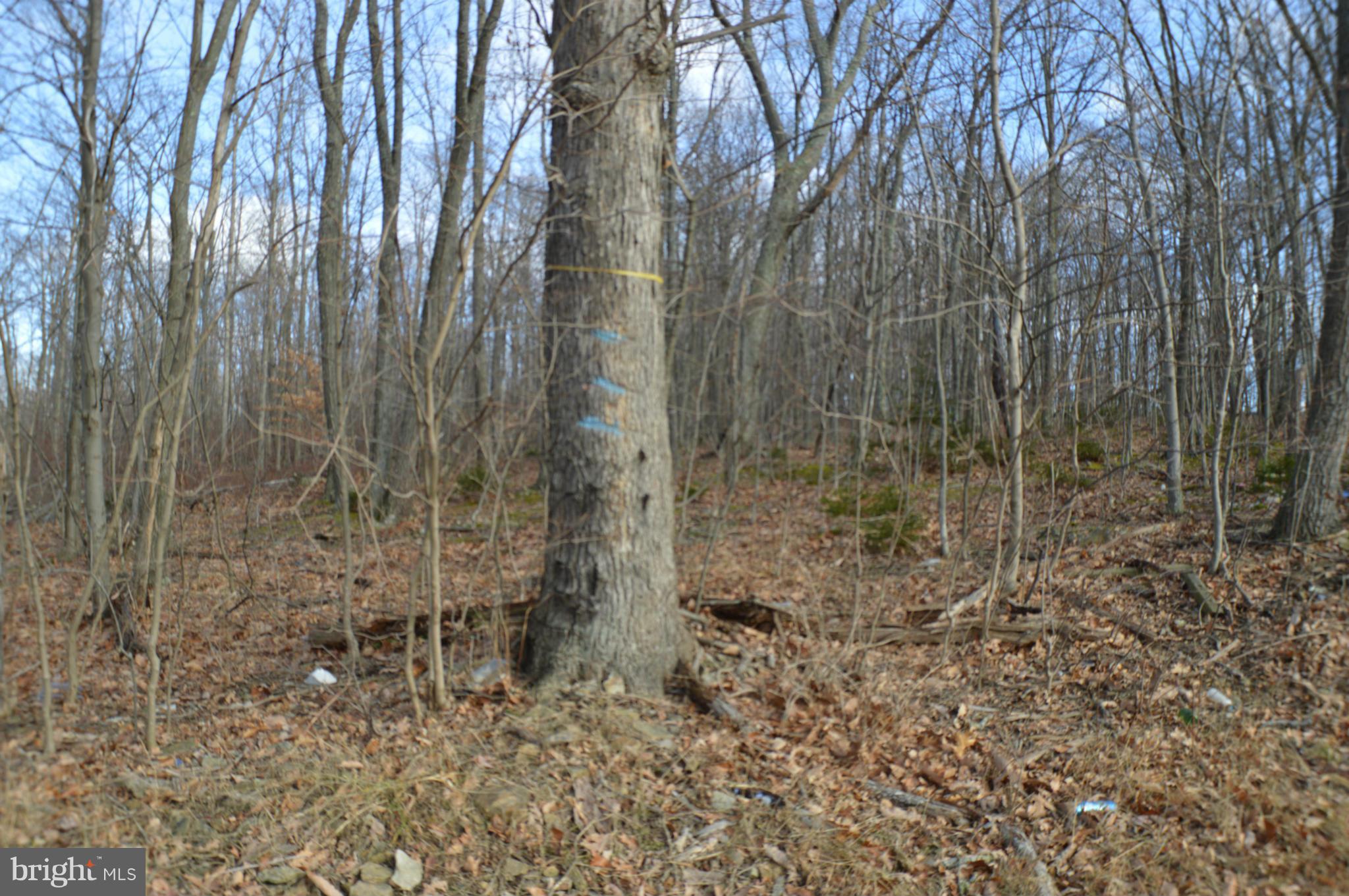 NONE AVAILABLE - Land