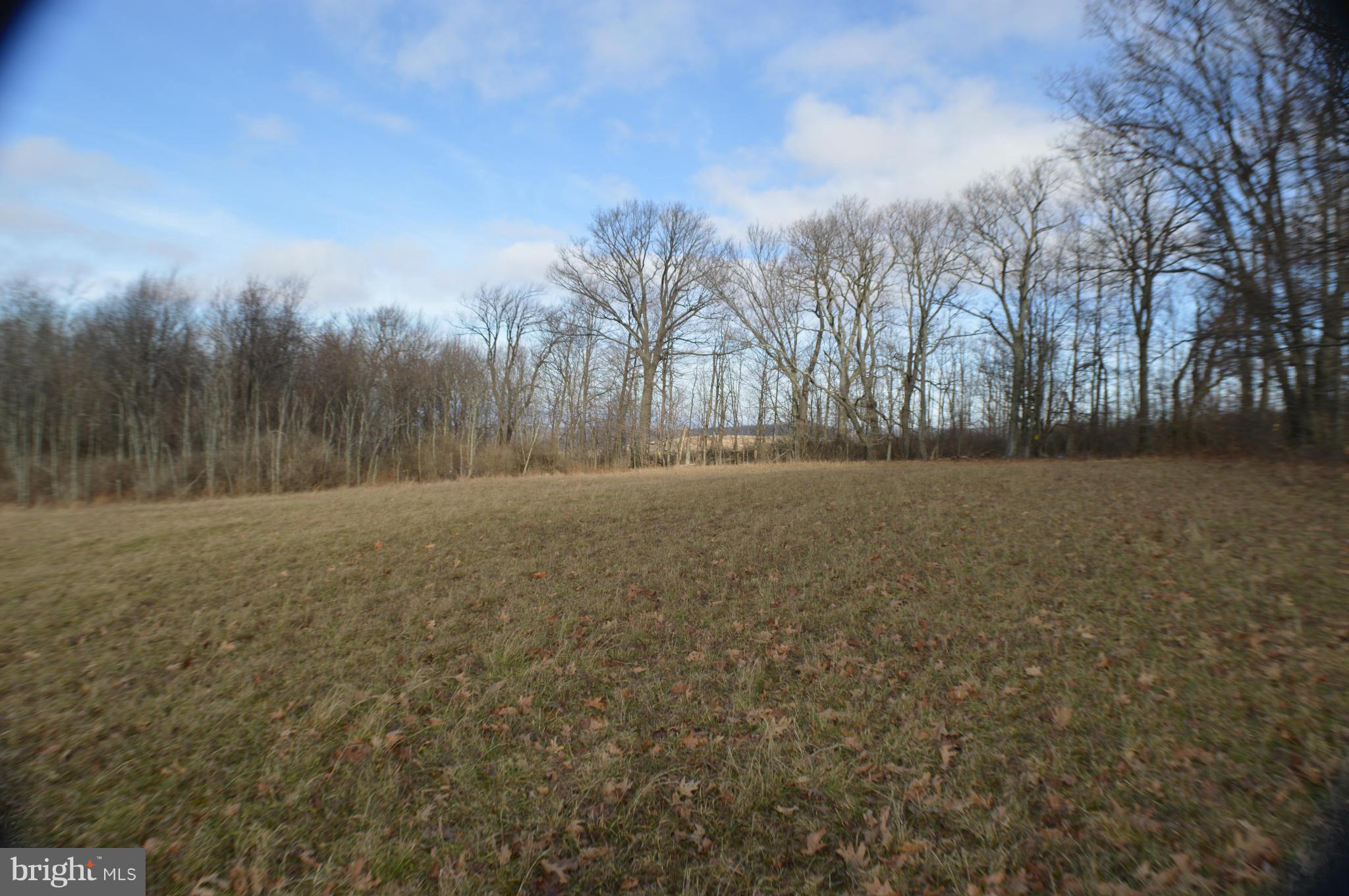 NONE AVAILABLE - Land