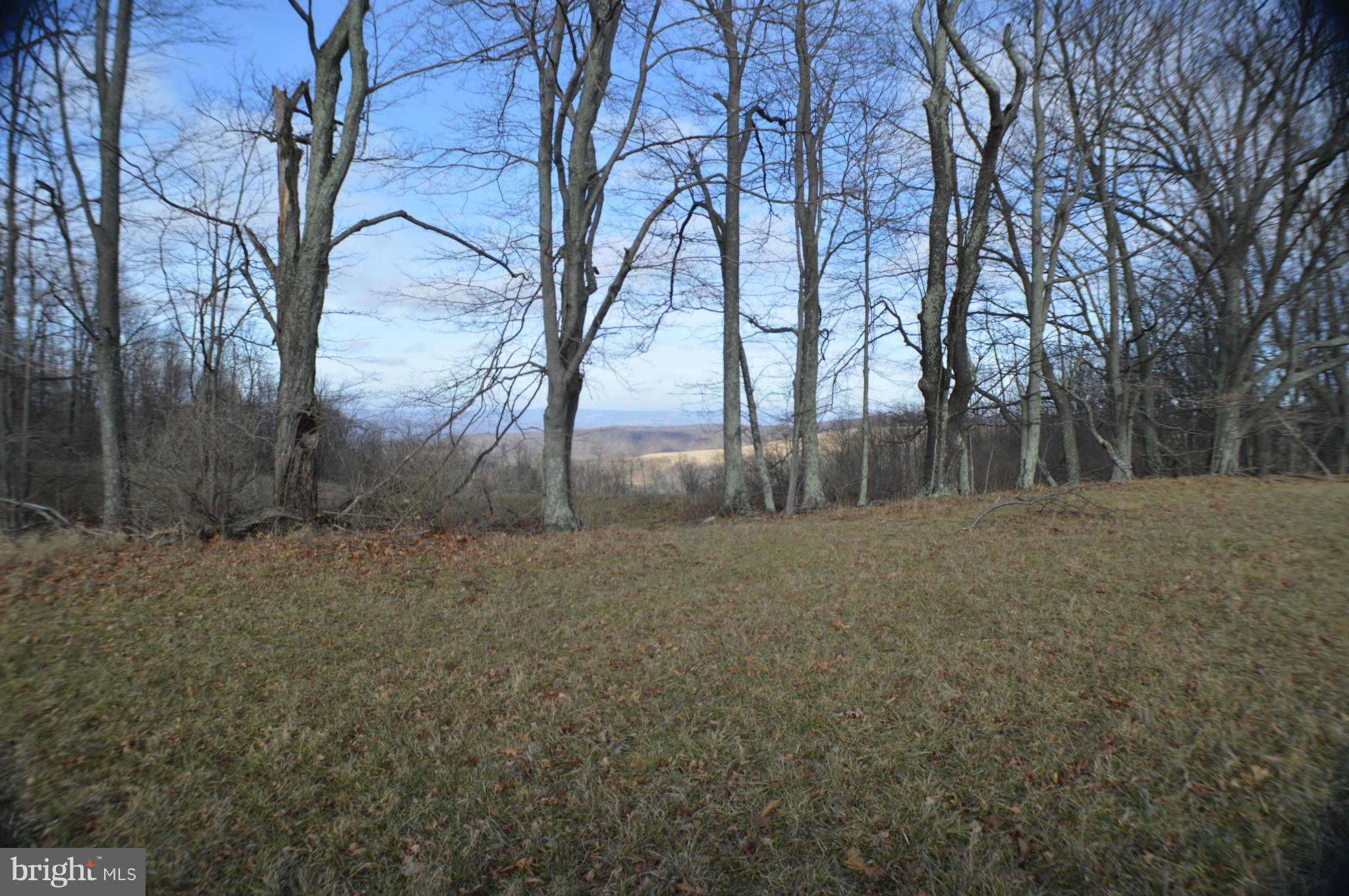 NONE AVAILABLE - Land