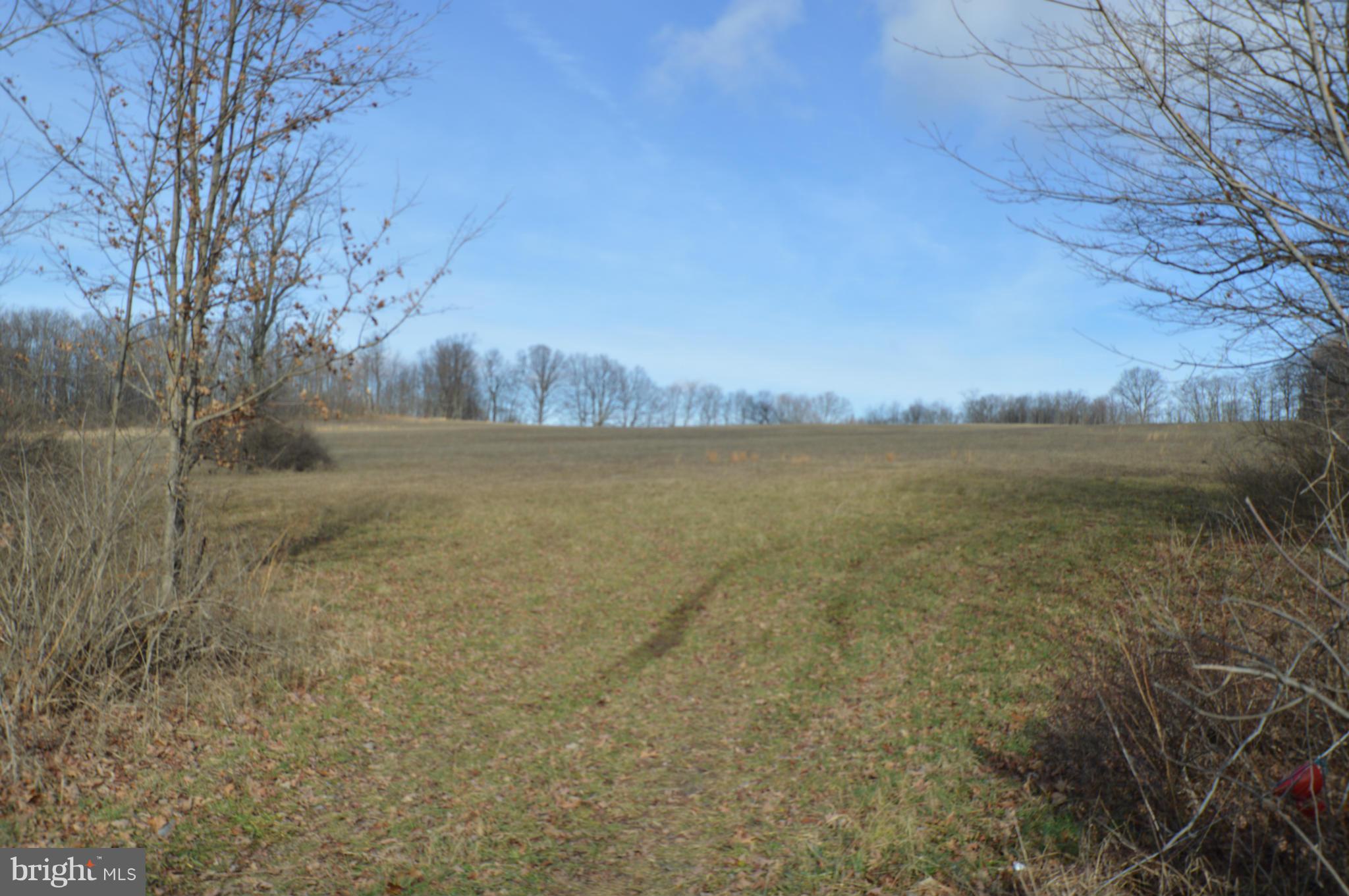 NONE AVAILABLE - Land