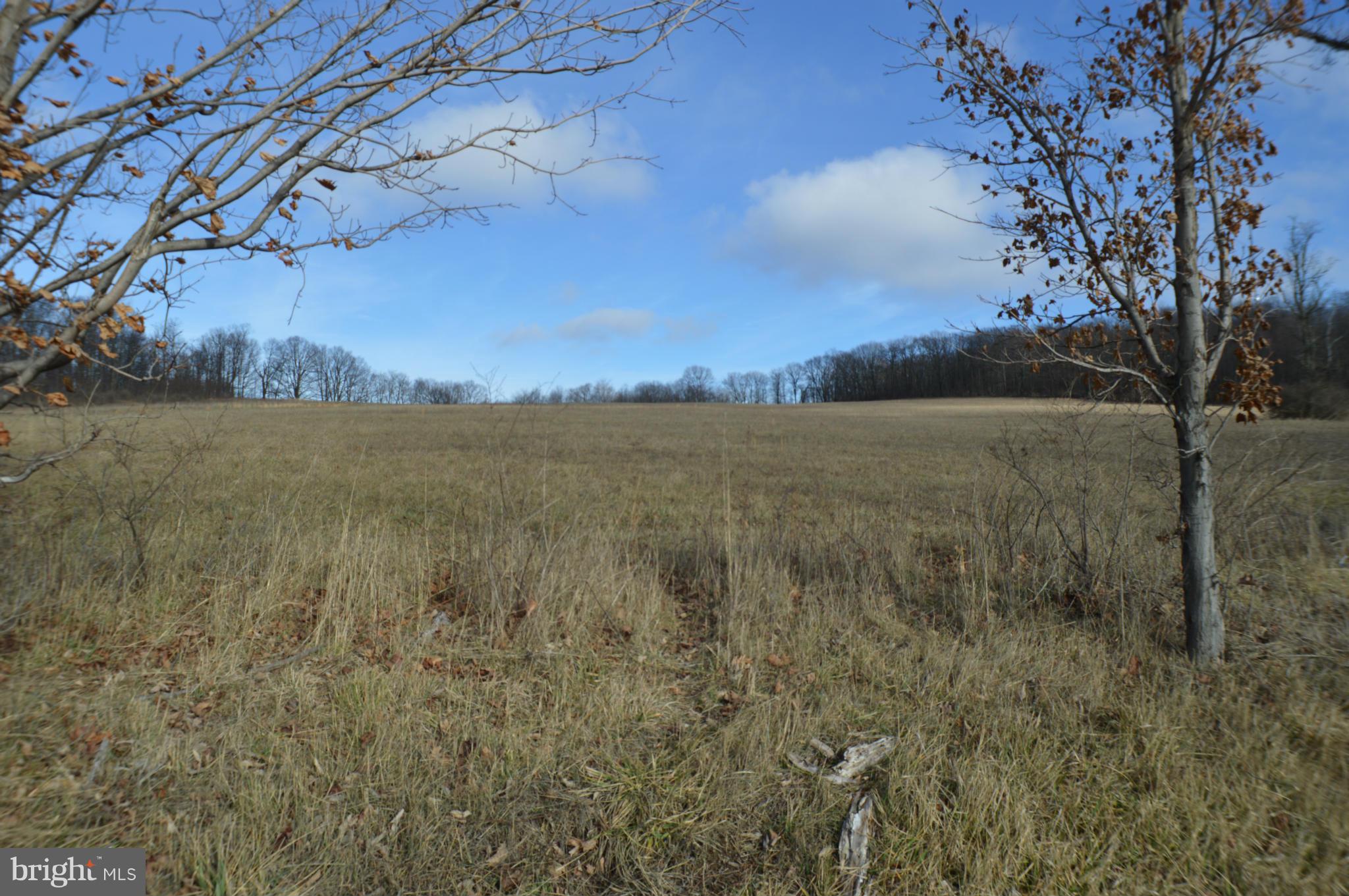 NONE AVAILABLE - Land