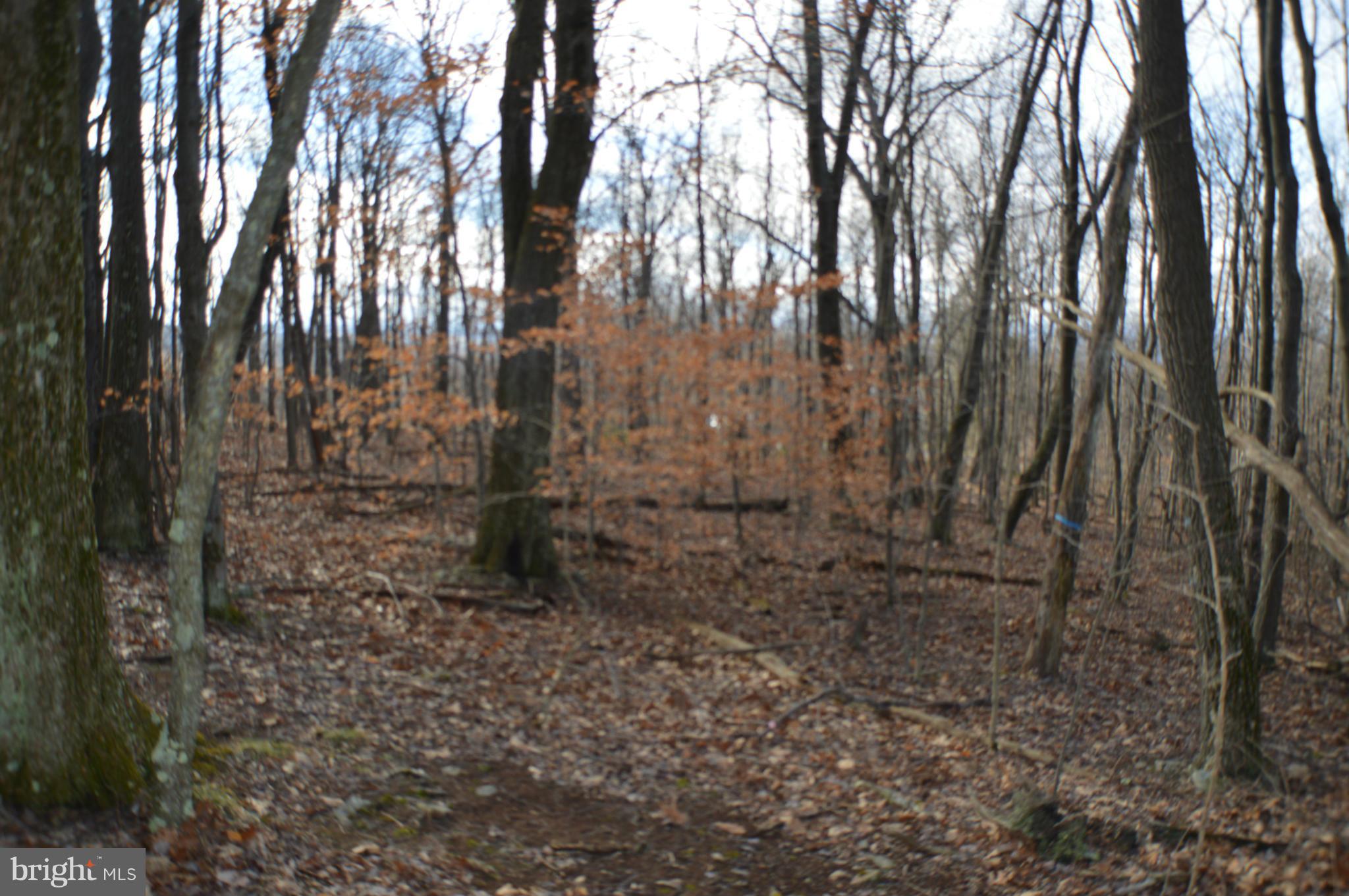 NONE AVAILABLE - Land