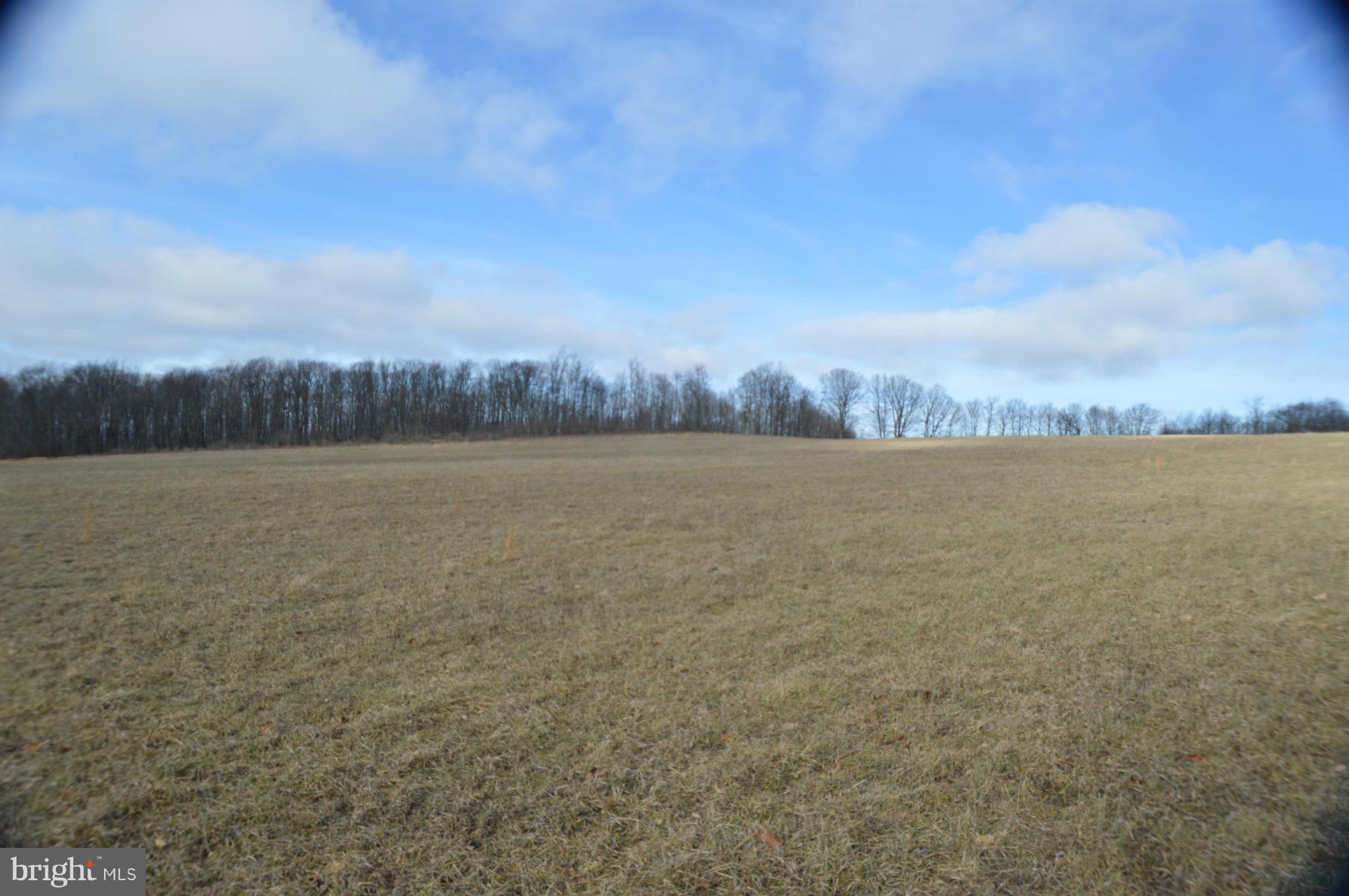 NONE AVAILABLE - Land