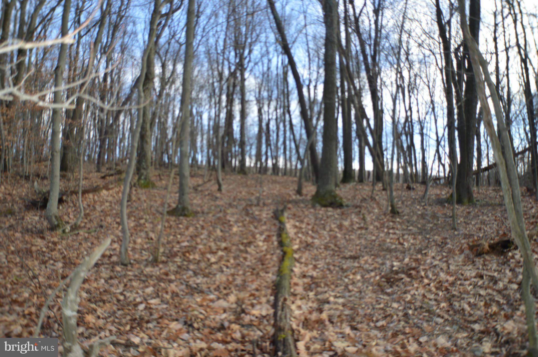 NONE AVAILABLE - Land