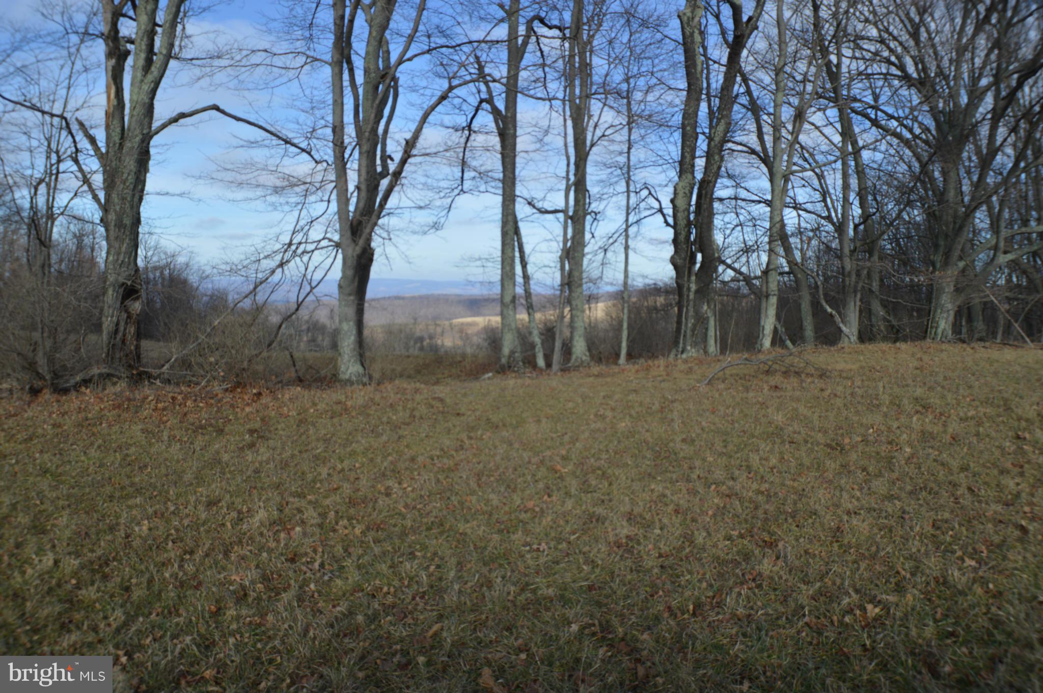 NONE AVAILABLE - Land