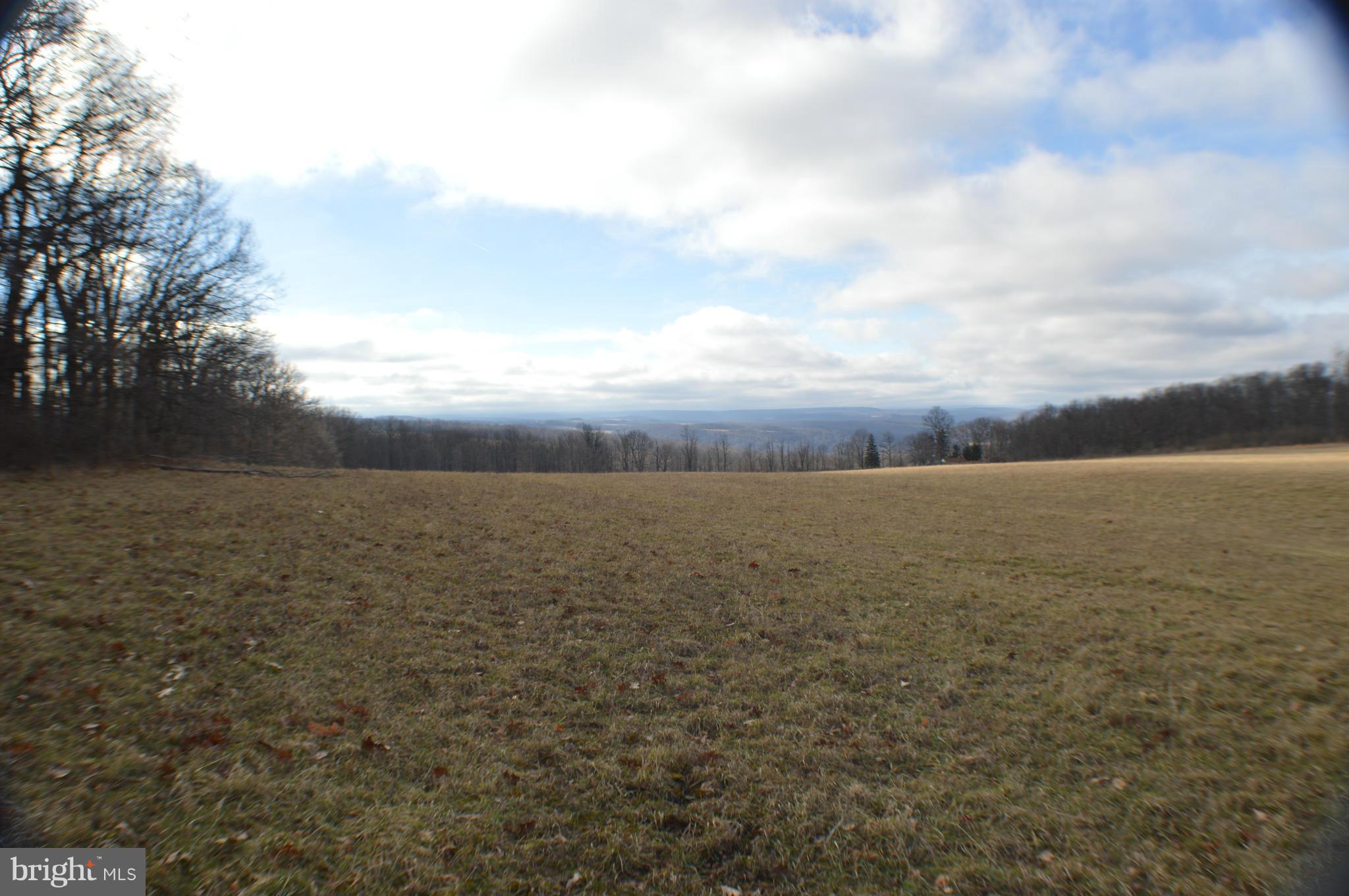 NONE AVAILABLE - Land