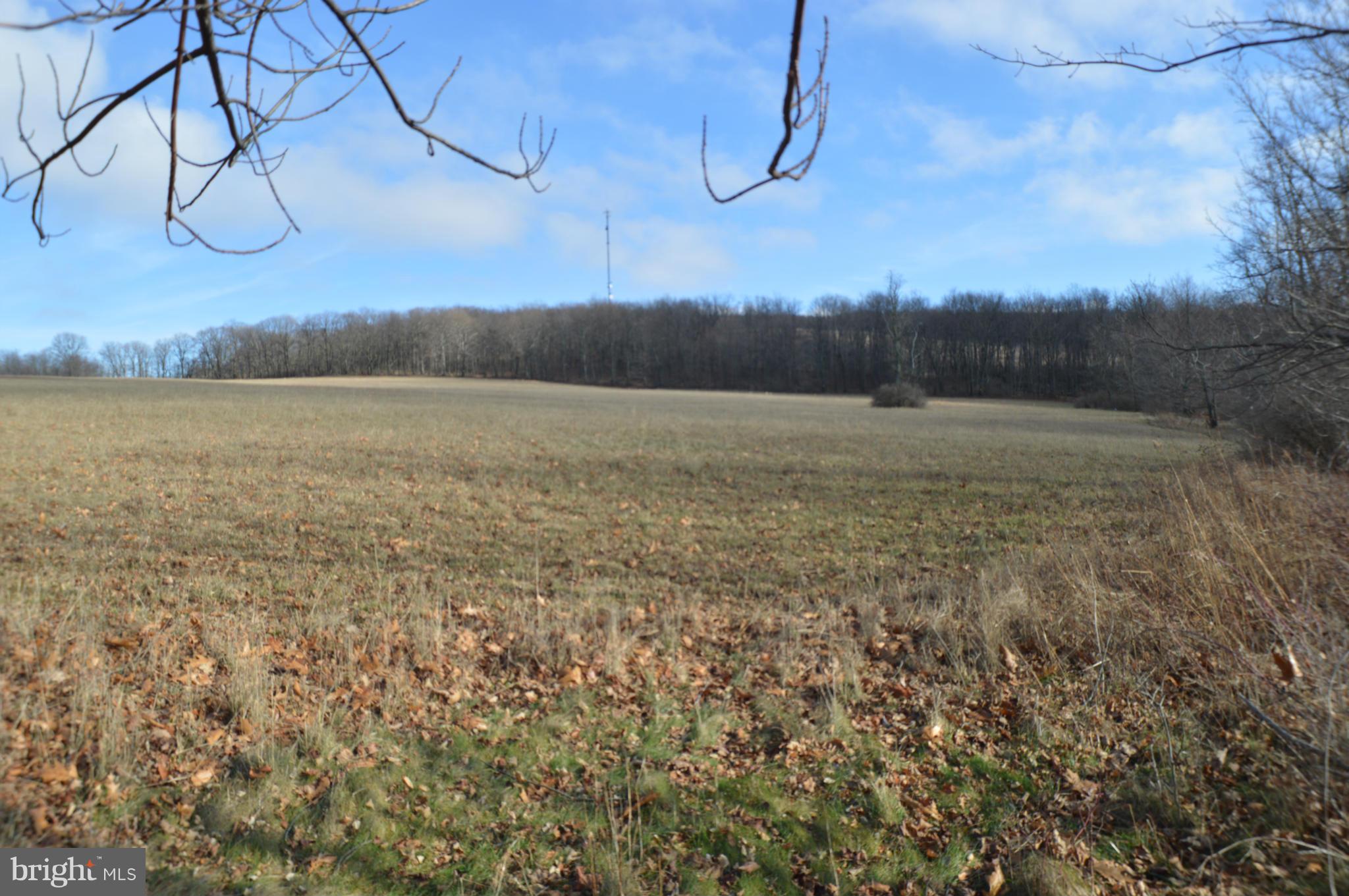 NONE AVAILABLE - Land