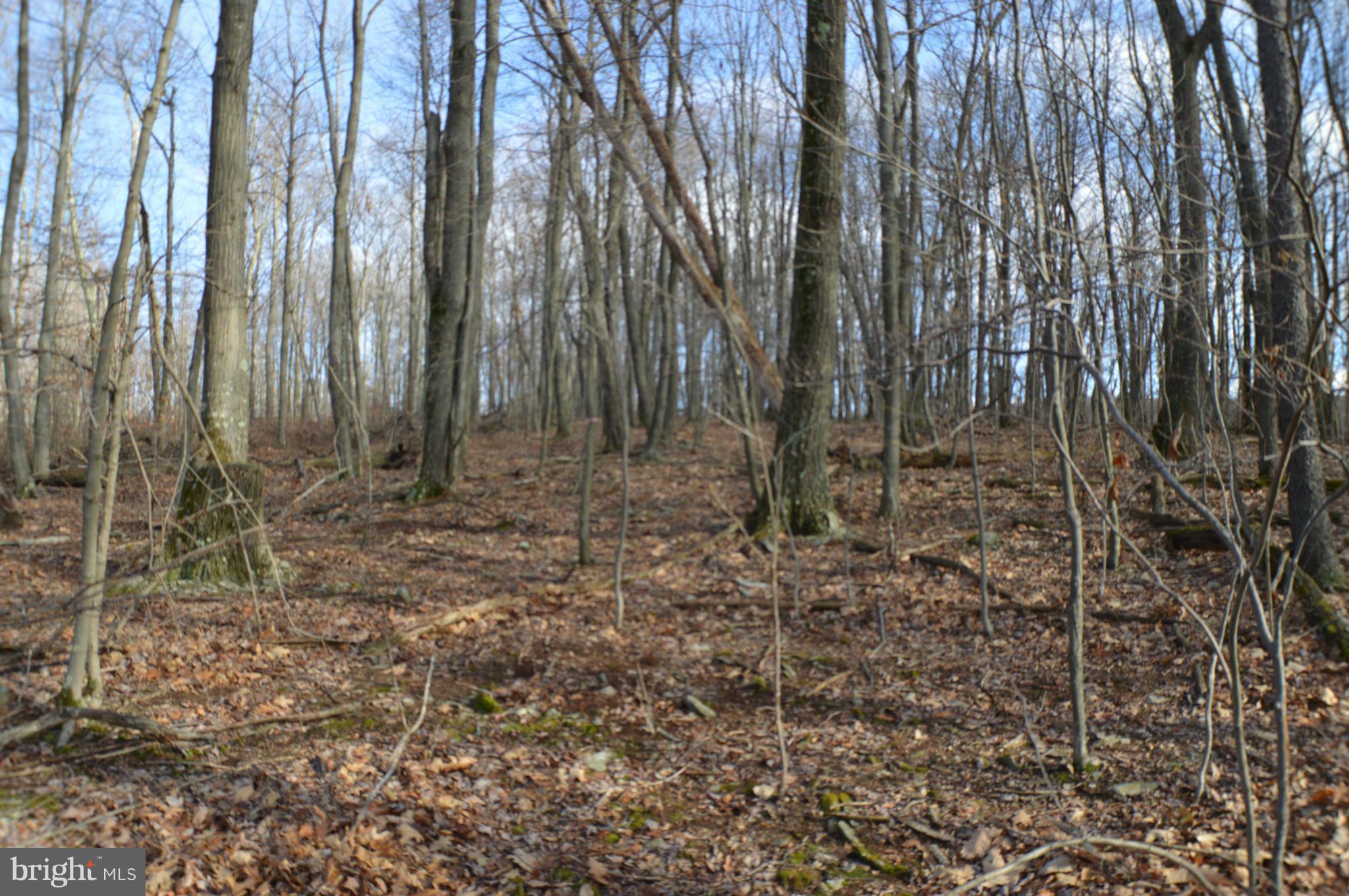 NONE AVAILABLE - Land