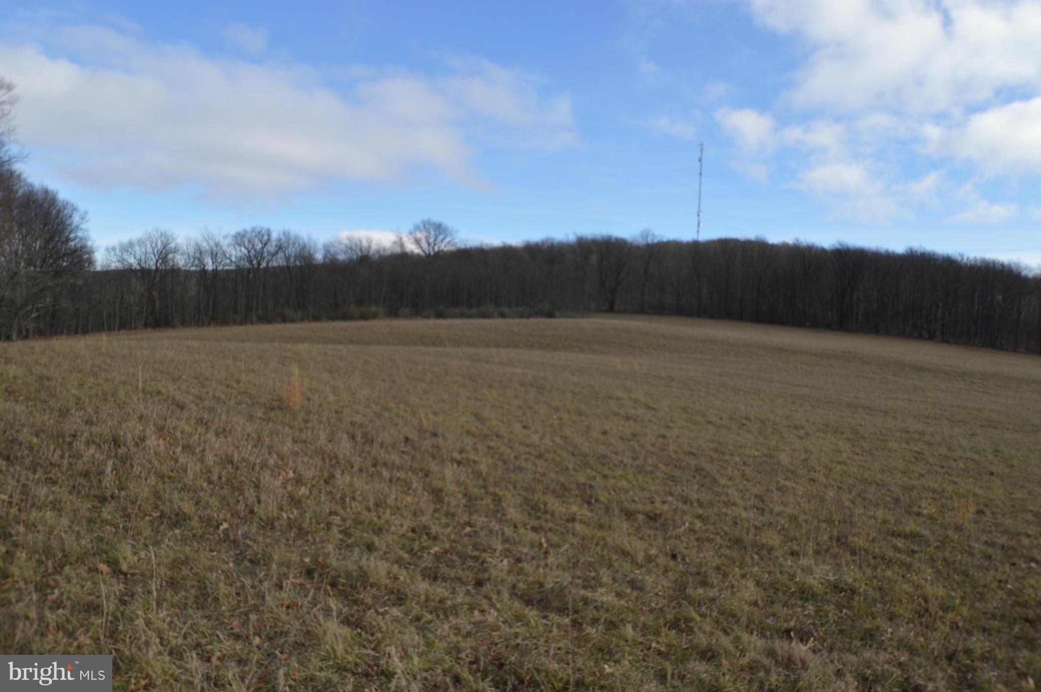 NONE AVAILABLE - Land