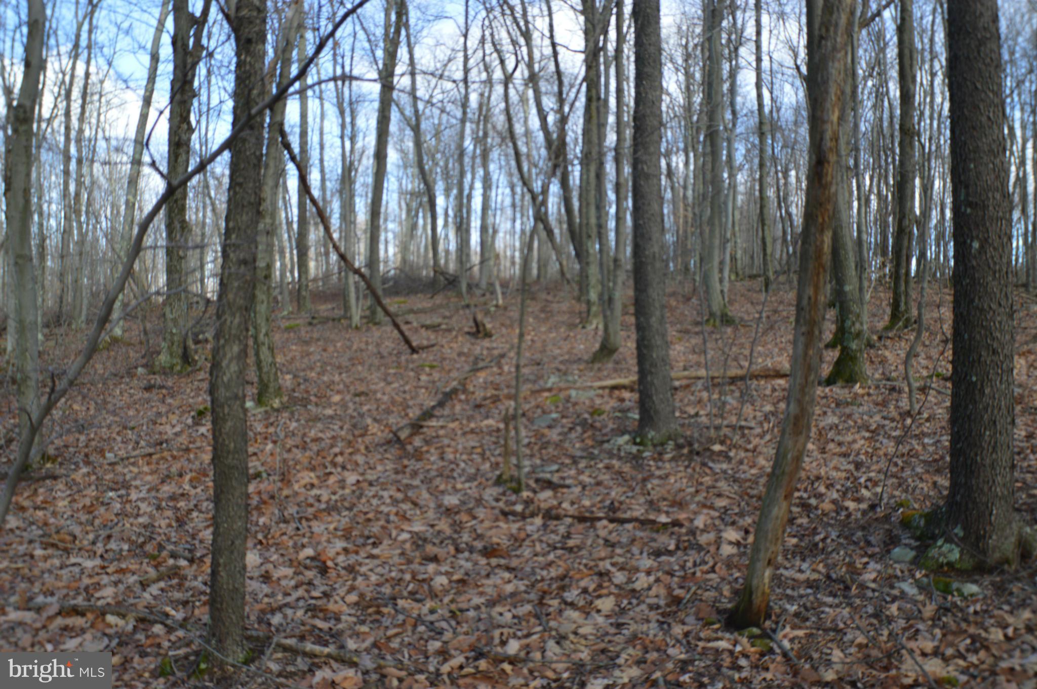 NONE AVAILABLE - Land