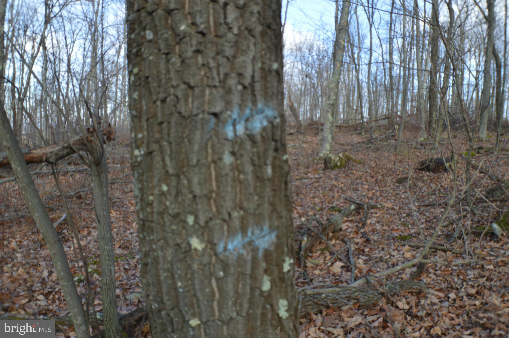 NONE AVAILABLE - Land