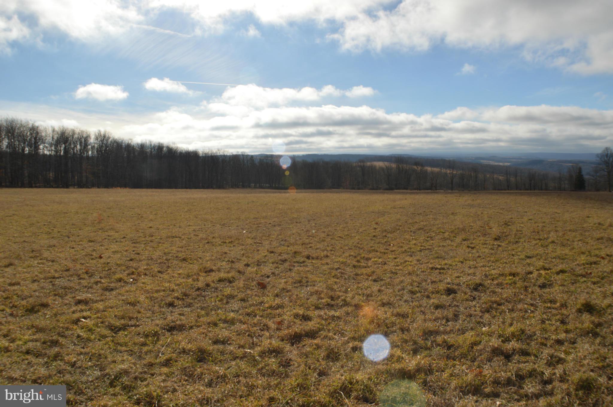 NONE AVAILABLE - Land