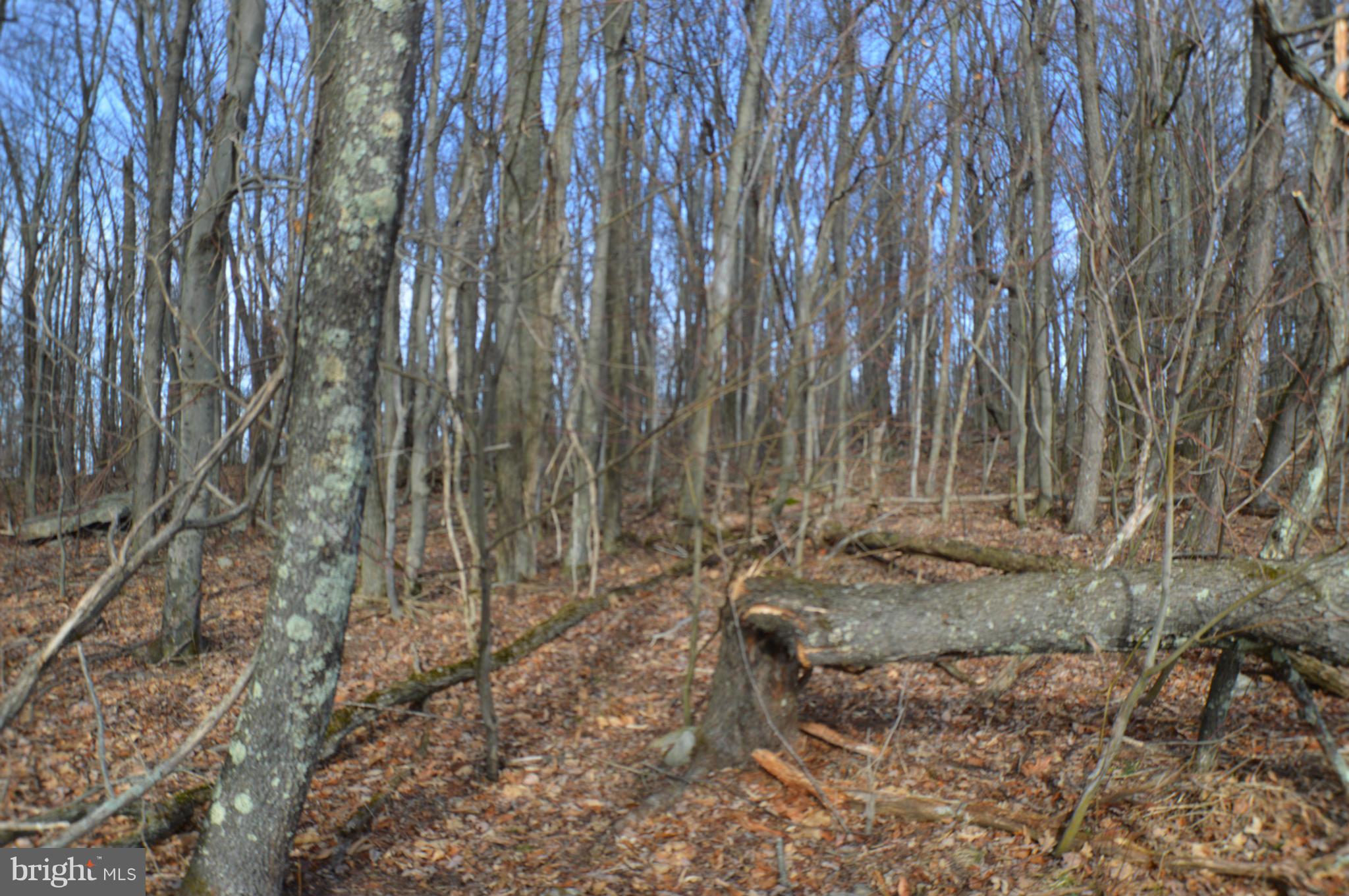 NONE AVAILABLE - Land