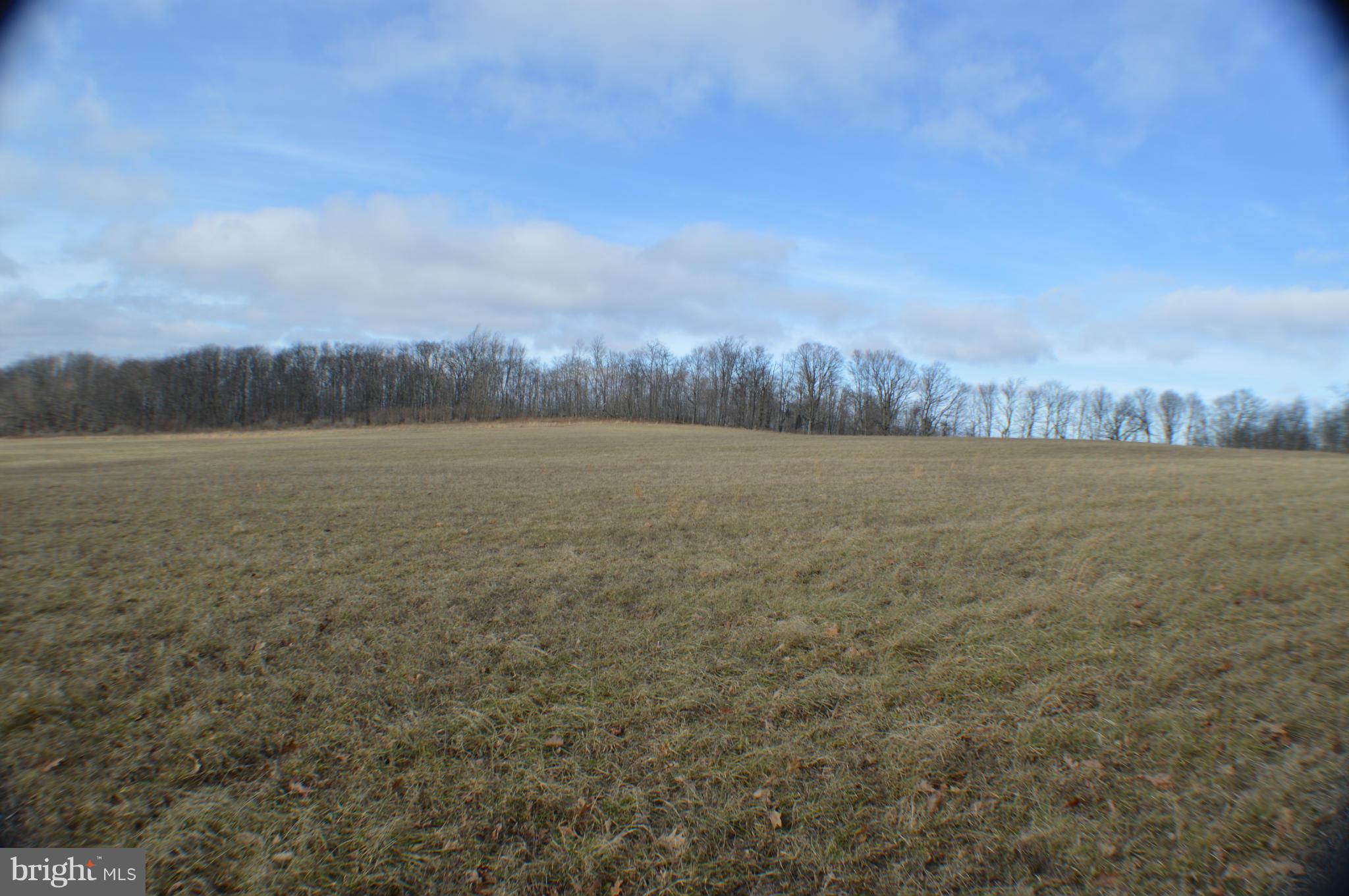 NONE AVAILABLE - Land