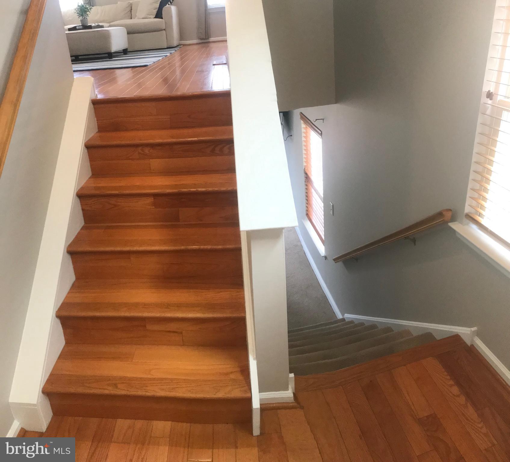 CONSHOHOCKEN - Residential Lease