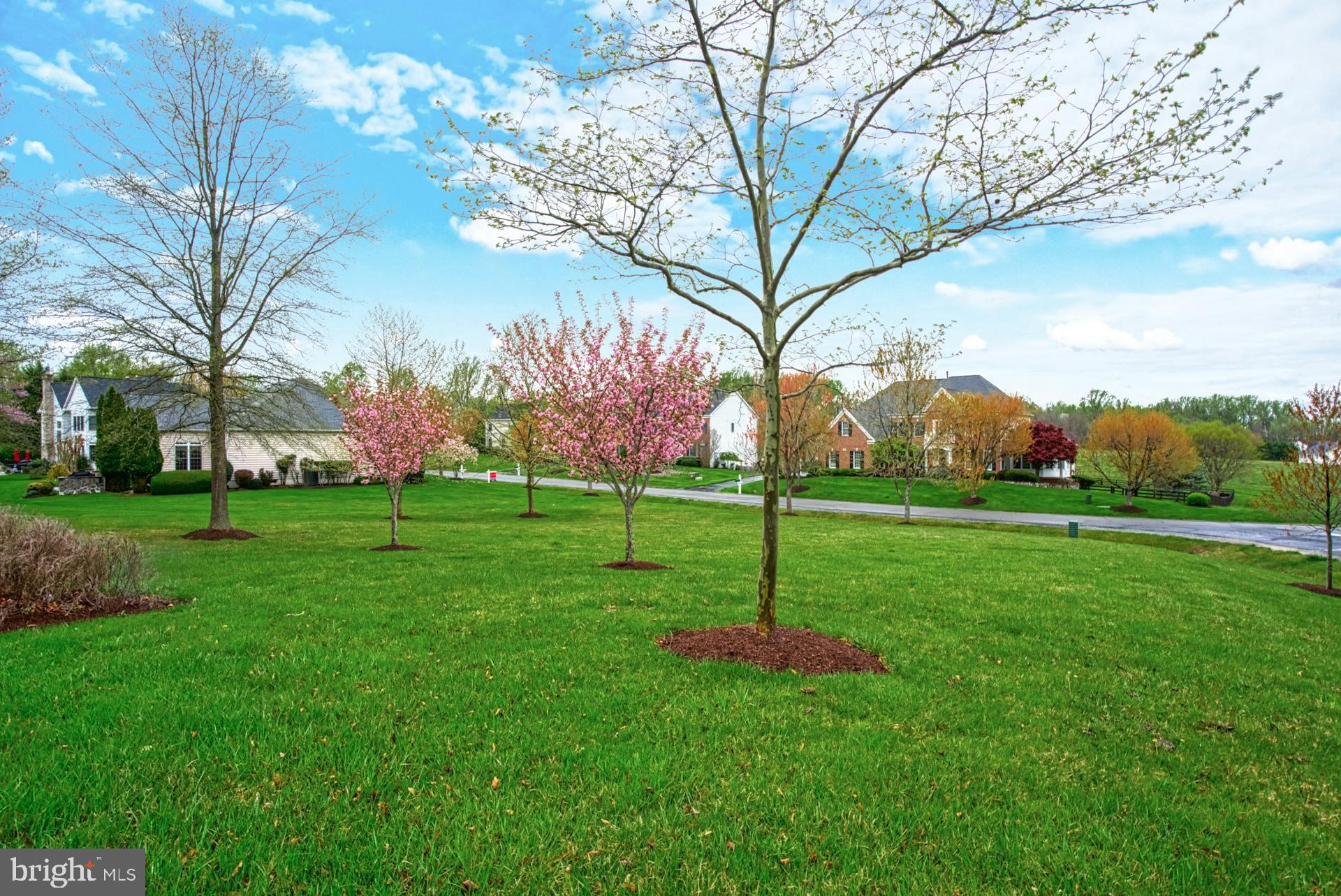 LENAH RUN - Residential