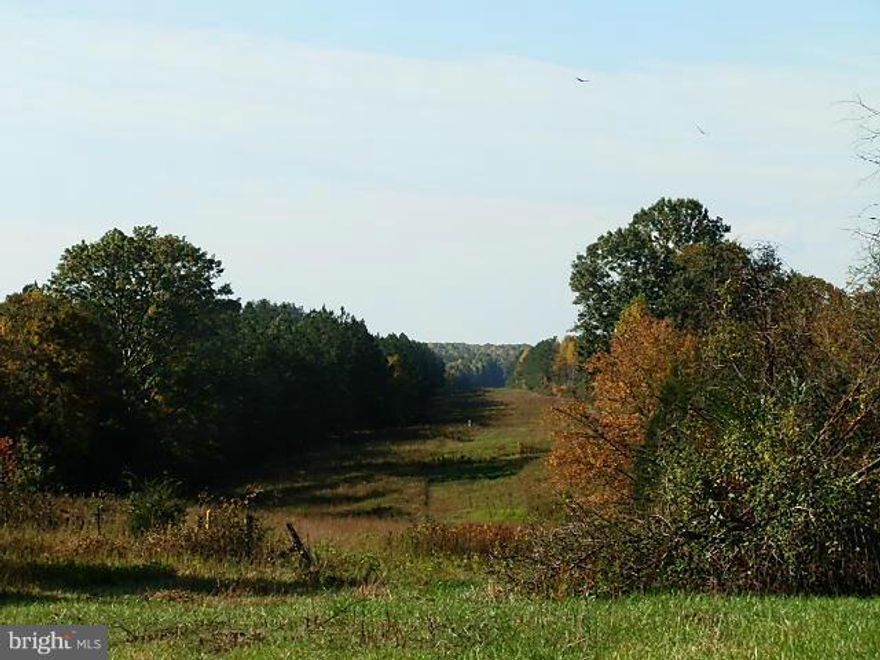 Hunting land, investment land, or build your dream home. 15+/- acres in Orange County, VA. Old tear down farmhouse (yr built unknown) and outbuildings on property. Status of well & septic unknown. Sold as is.