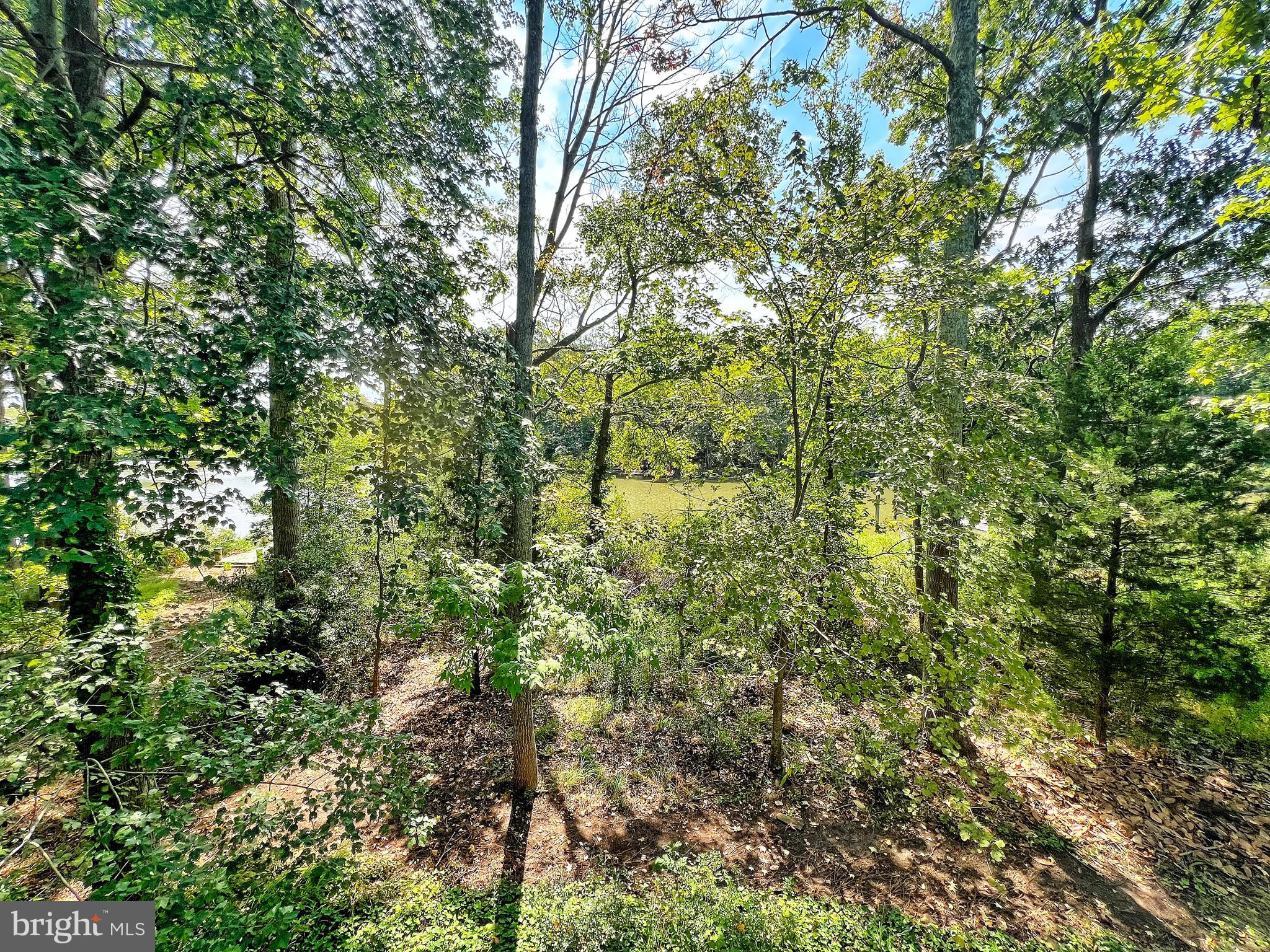 SPYGLASS - Residential