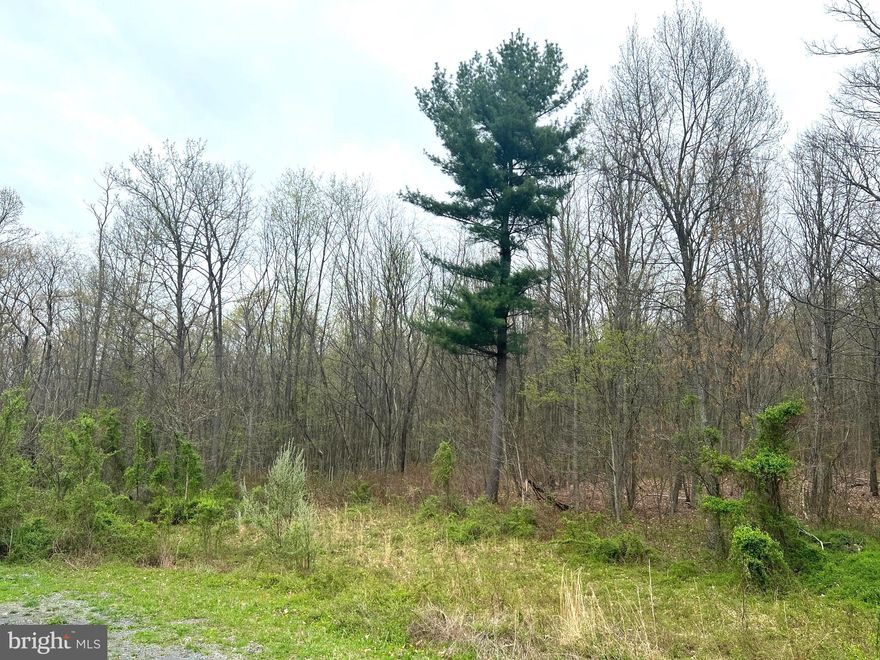Bring Your Own Builder and seize this opportunity to live in Phase II of Little Ridge Estates nestled in a tranquil location.  Partially wooded lots starting at 1.15 to 2.07 acres.  Underground utilities. Drill your own well and install your on site septic system.