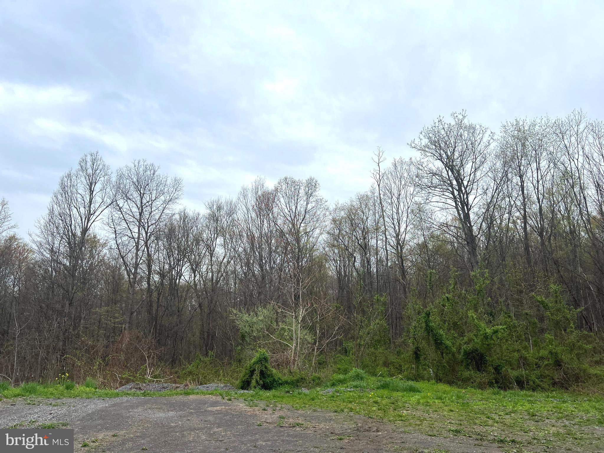 Lot #17 RIDGE WAY DRIVE